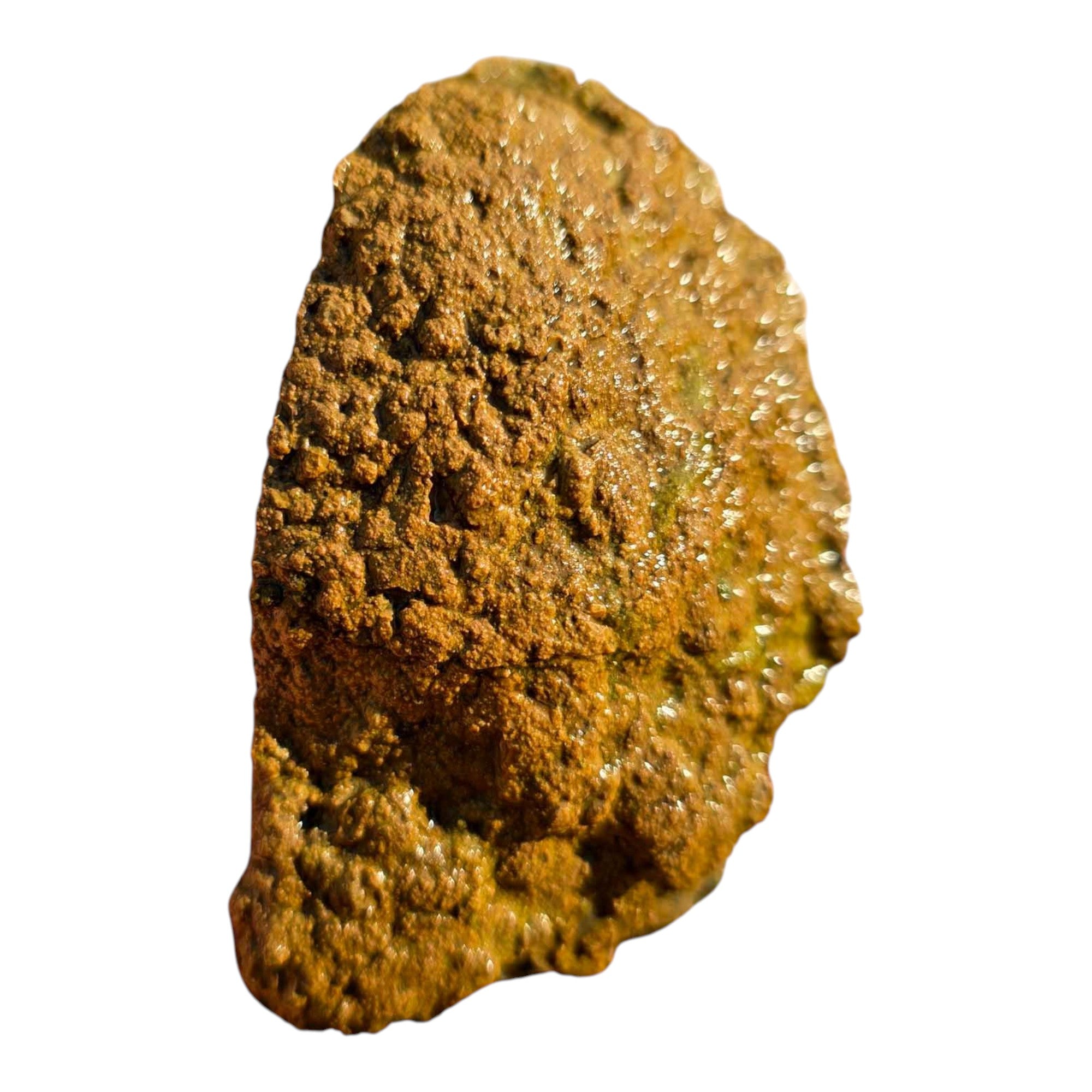 Moss Bed Thunderegg – Cut & Proven with Rare Red and Pink Moss