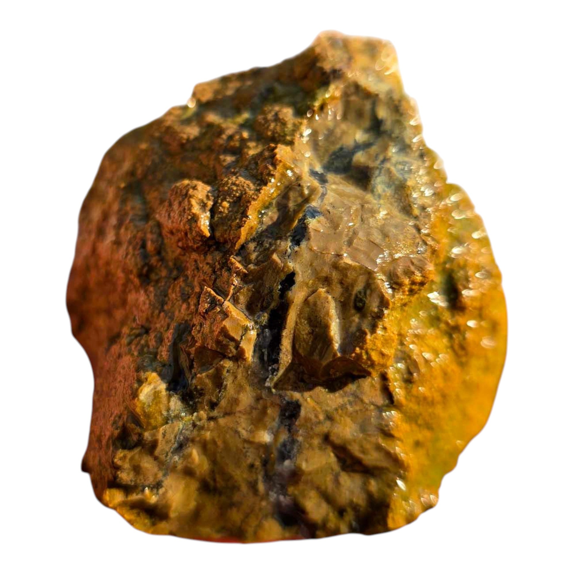 Moss Bed Thunderegg – Cut & Proven with Rare Red and Pink Moss