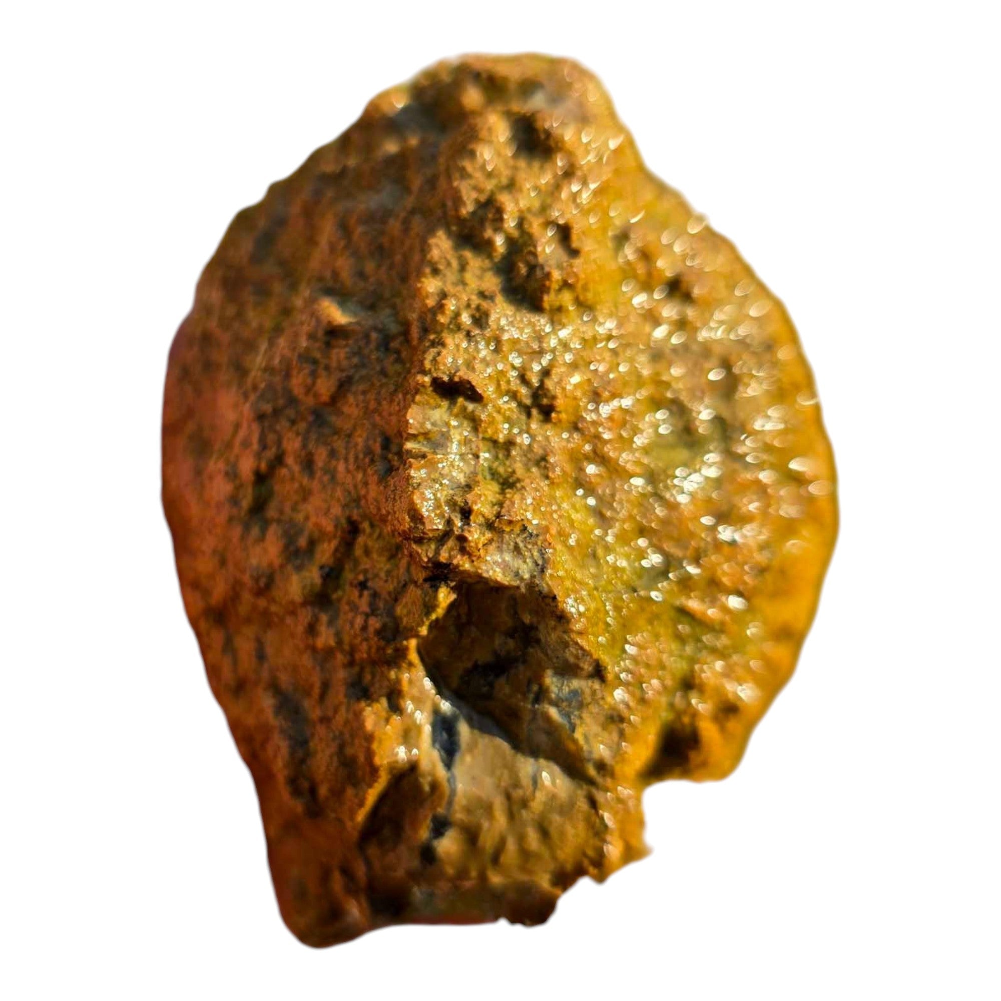 Moss Bed Thunderegg – Cut & Proven with Rare Red and Pink Moss