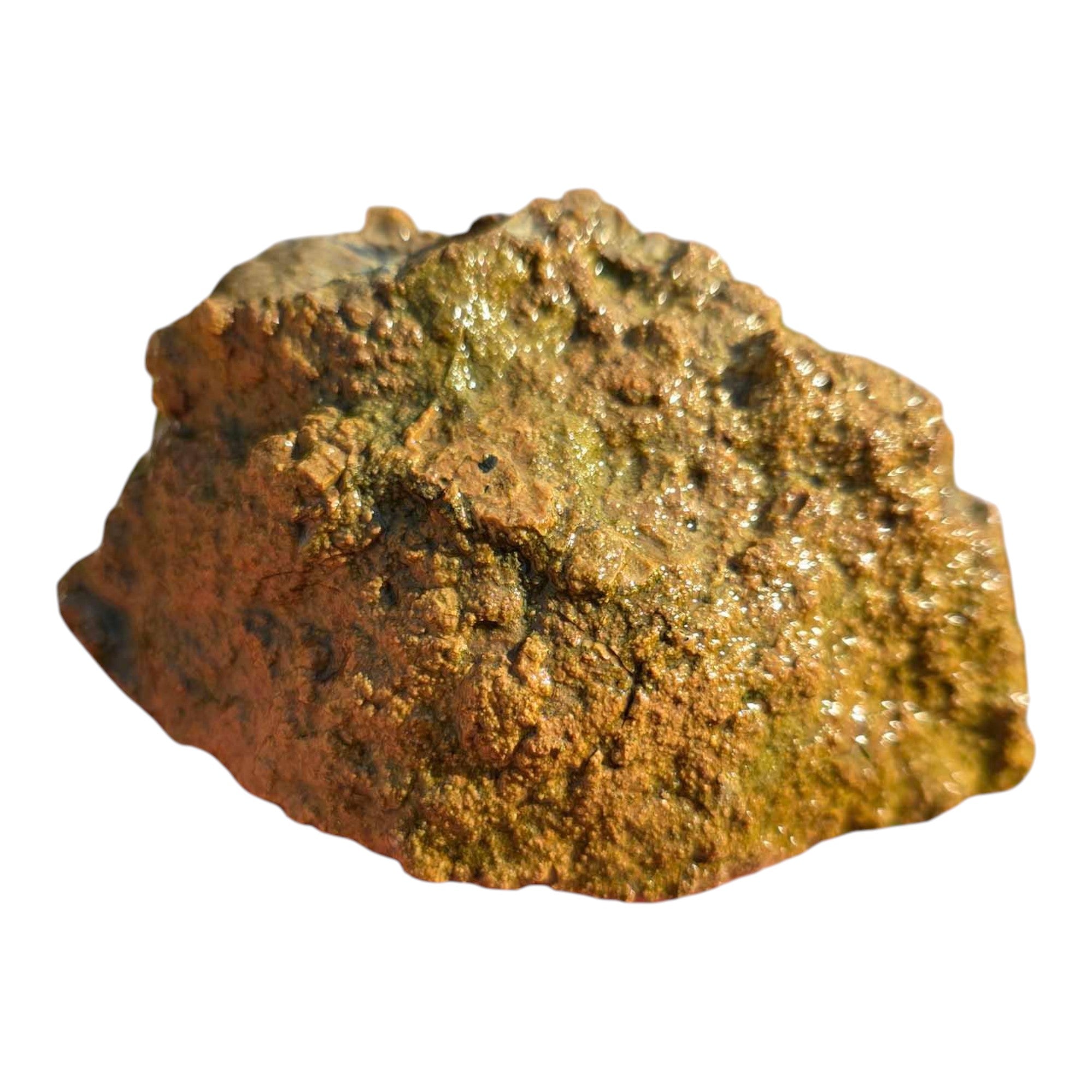 Moss Bed Thunderegg – Cut & Proven with Rare Red and Pink Moss