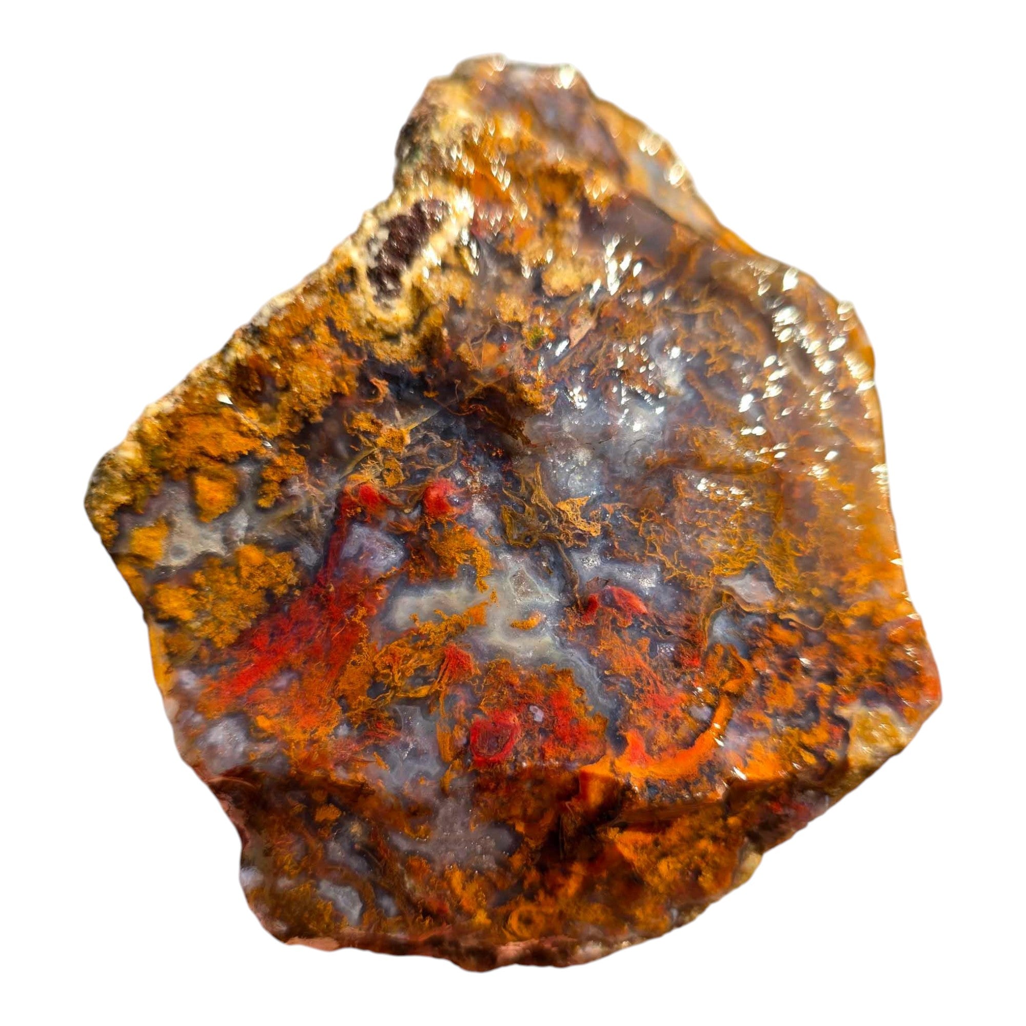 San Carlos Agate Rough – Bright Red & Gold Moss with Blue Agate Inclusions
