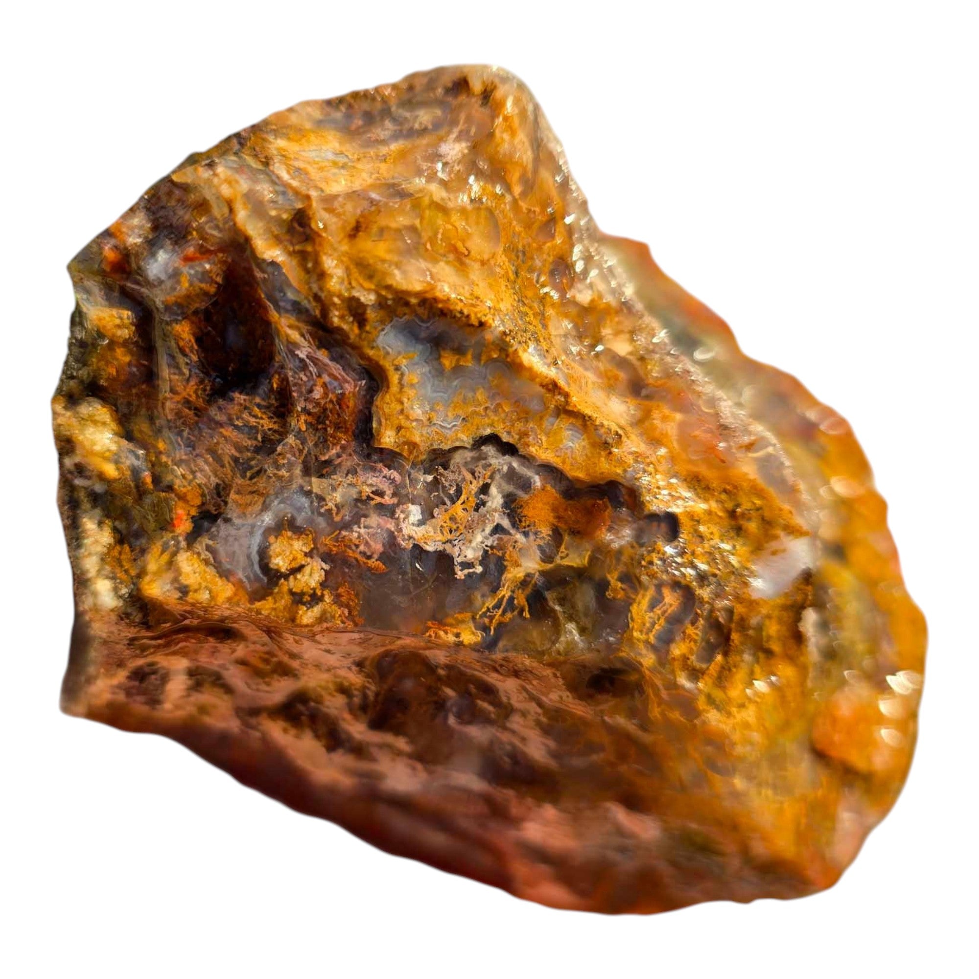San Carlos Agate Rough – Bright Red & Gold Moss with Blue Agate Inclusions