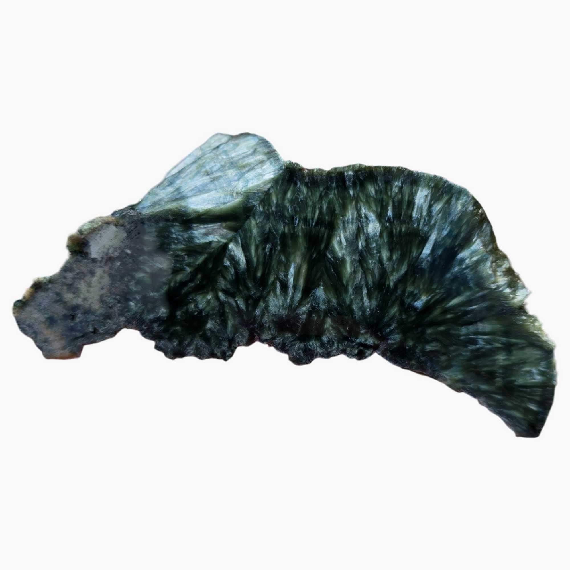 Seraphinite - Endcut Cut & Proven Green Feather Chatoyance Collector’s Piece