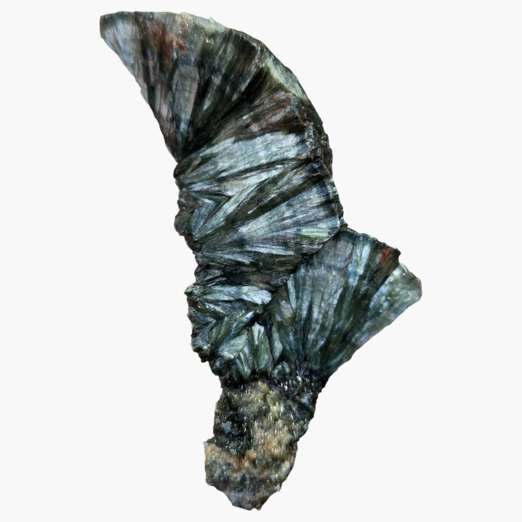 Seraphinite - Endcut Cut & Proven Green Feather Chatoyance Collector’s Piece