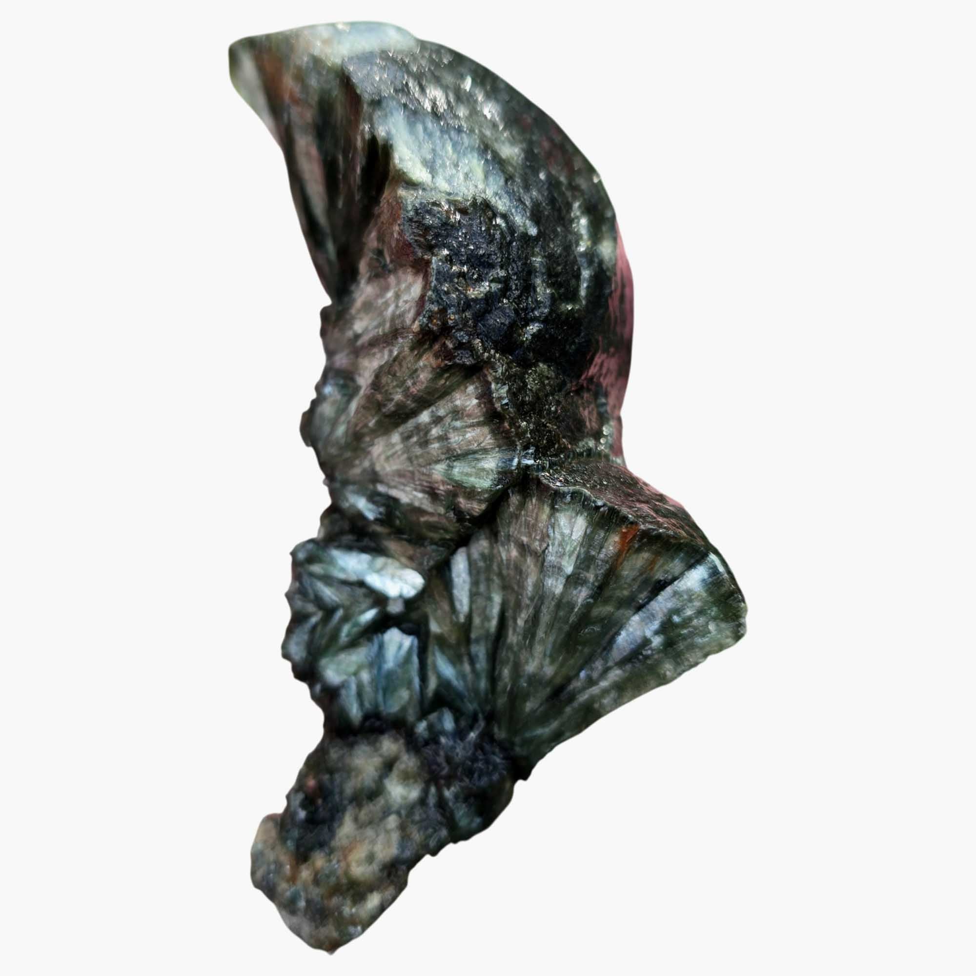 Seraphinite - Endcut Cut & Proven Green Feather Chatoyance Collector’s Piece