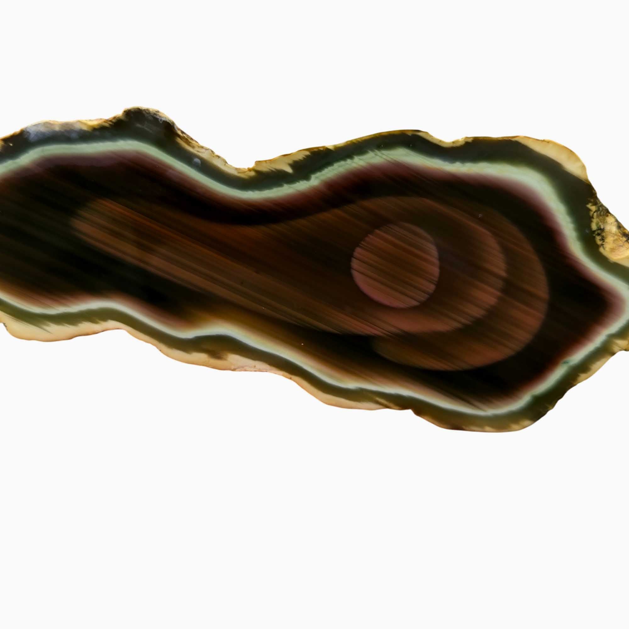 Royal Imperial Jasper Cut and Proven - High Grade Orbicular Scene Specimen