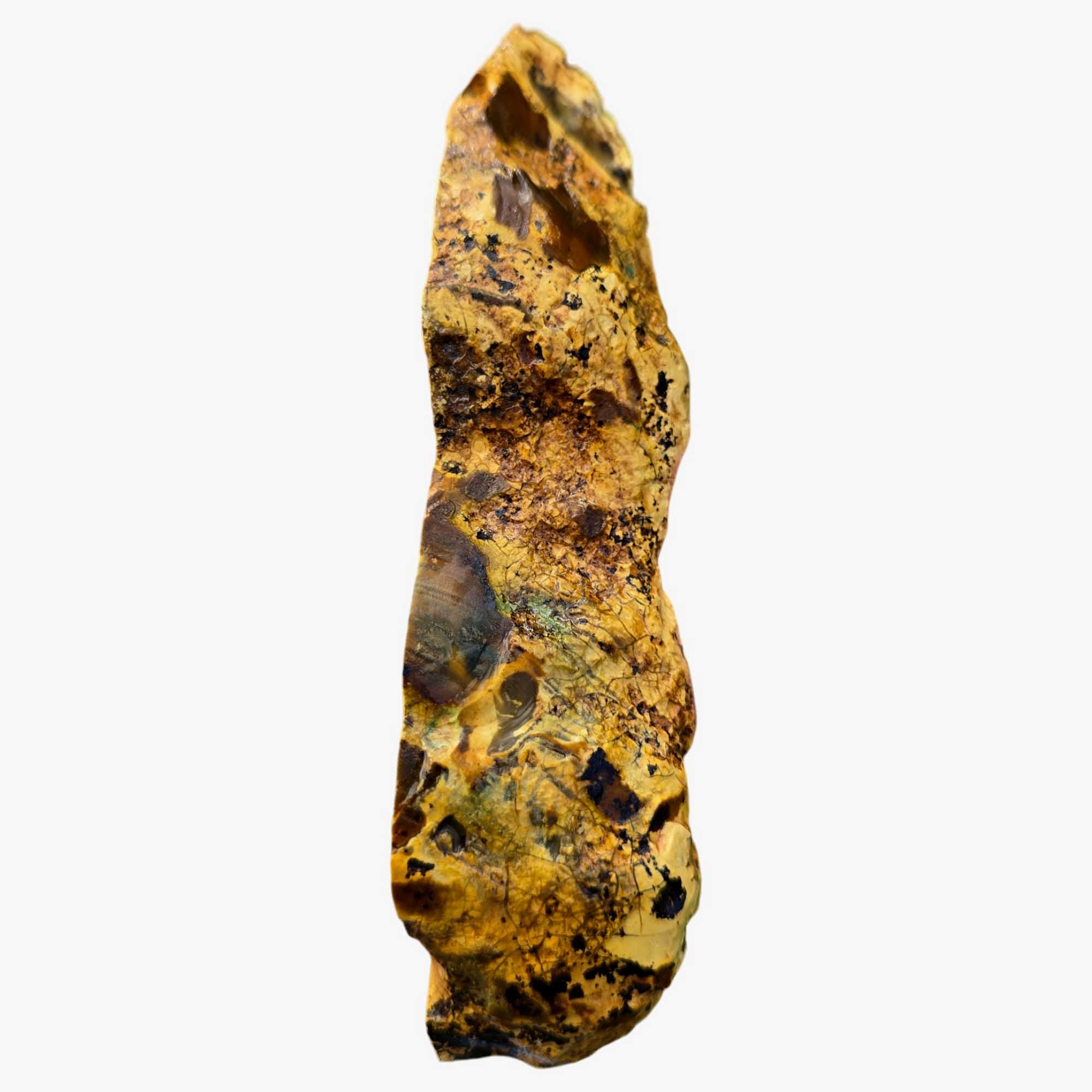 Royal Imperial Jasper Cut and Proven - High Grade Orbicular Scene Specimen