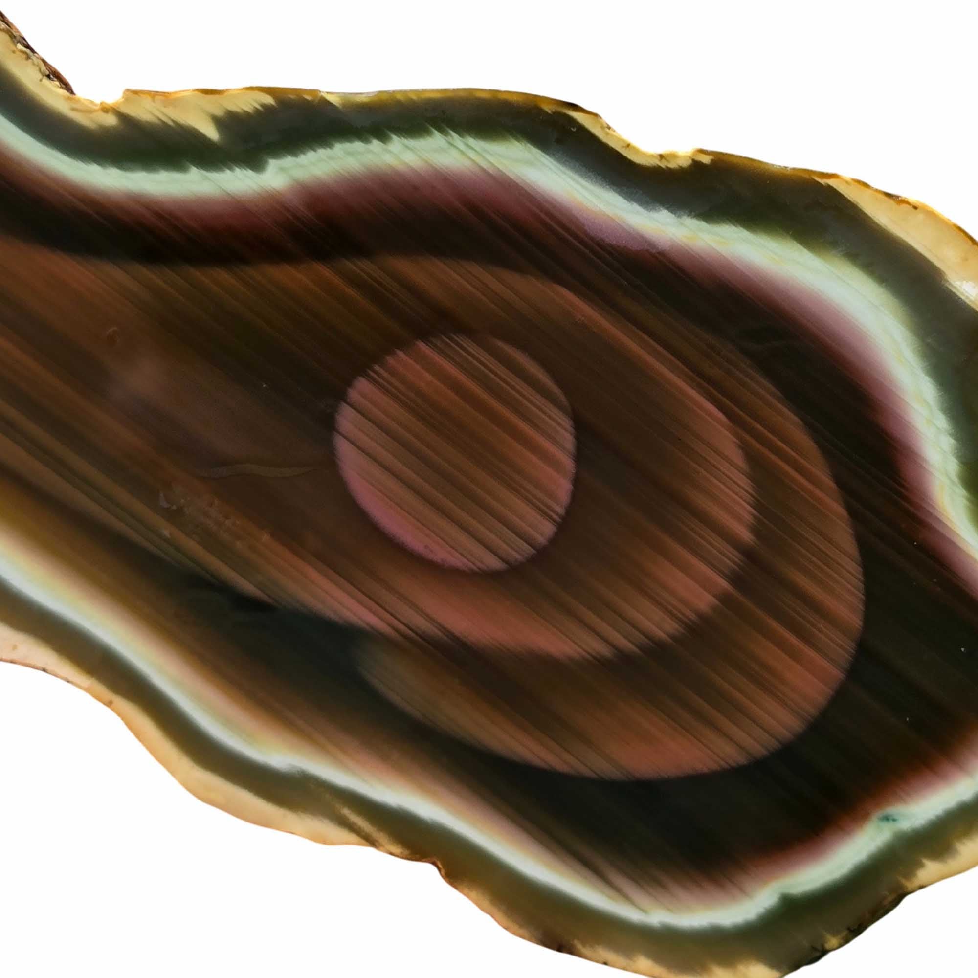 Royal Imperial Jasper Cut and Proven - High Grade Orbicular Scene Specimen