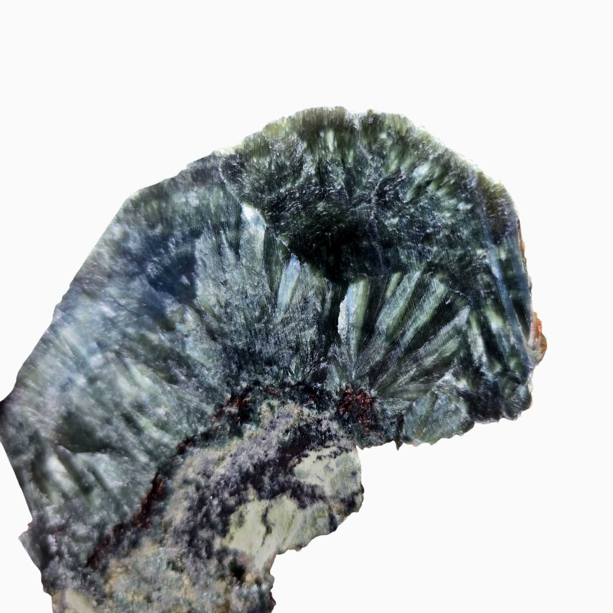 Seraphinit Seraphinite Slab - Feather Chatoyance with Matrix and Cabbing Potentia