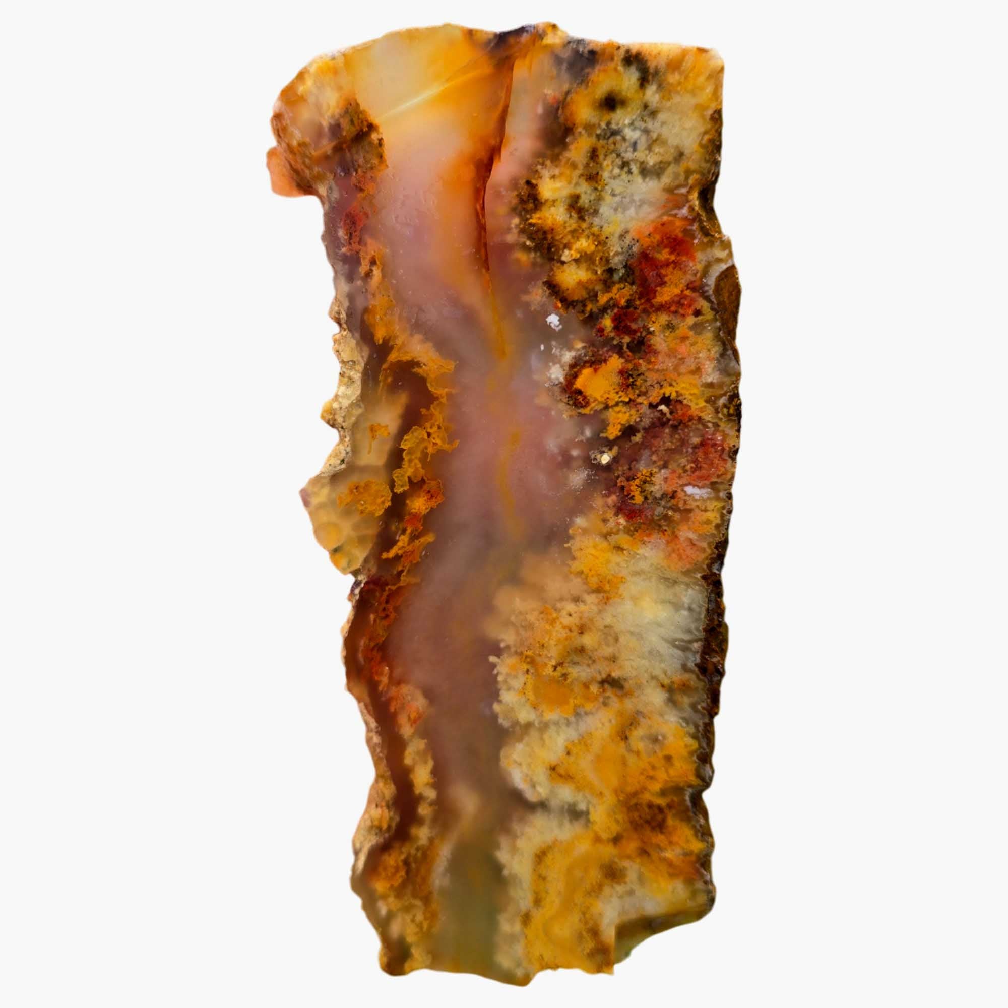 Regency Rose Plume Agate Slab - Old Stock Transparent Agate with Plume Pattern