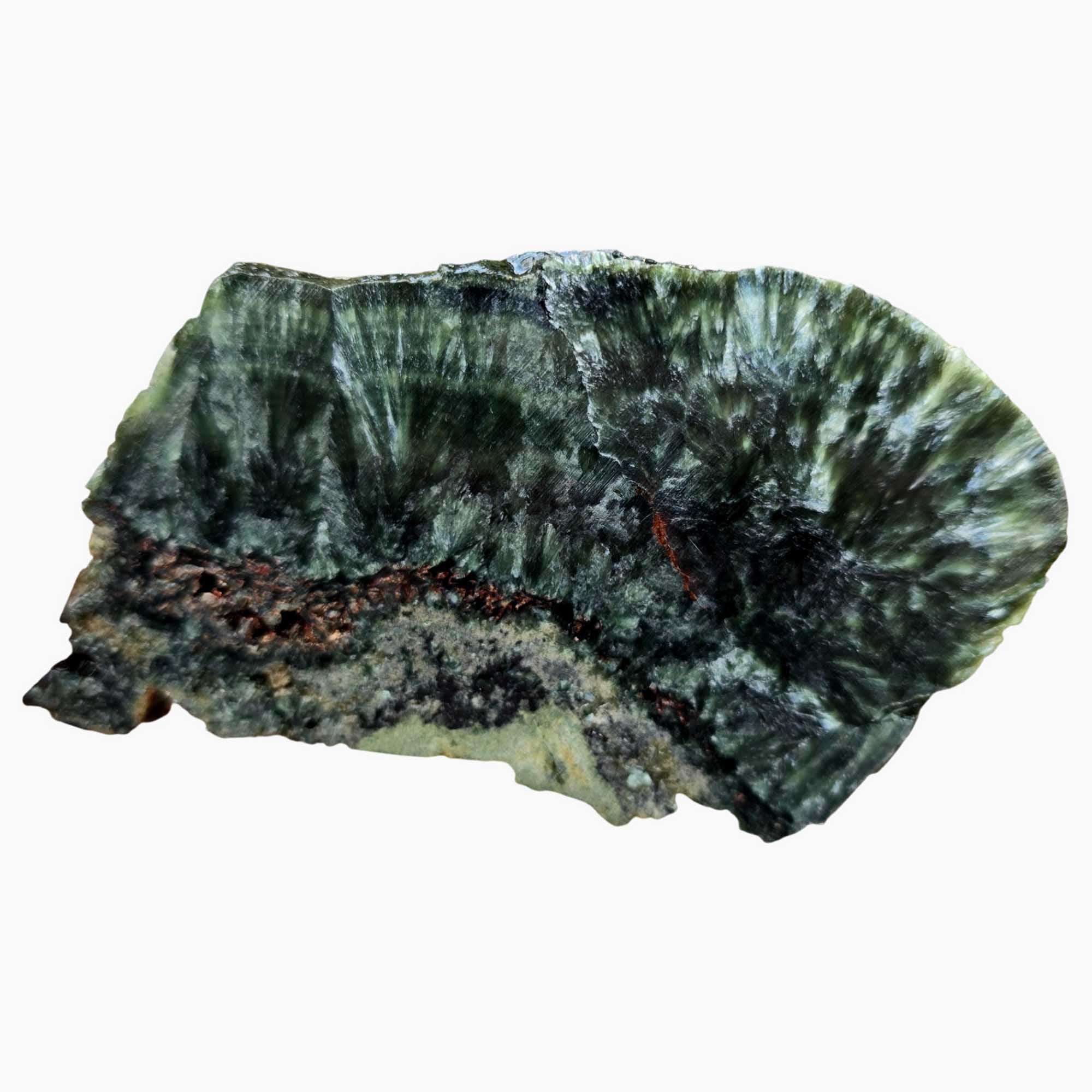 Seraphinite Slab - Feathery Chatoyant Pattern Green Chlorite from Siberia