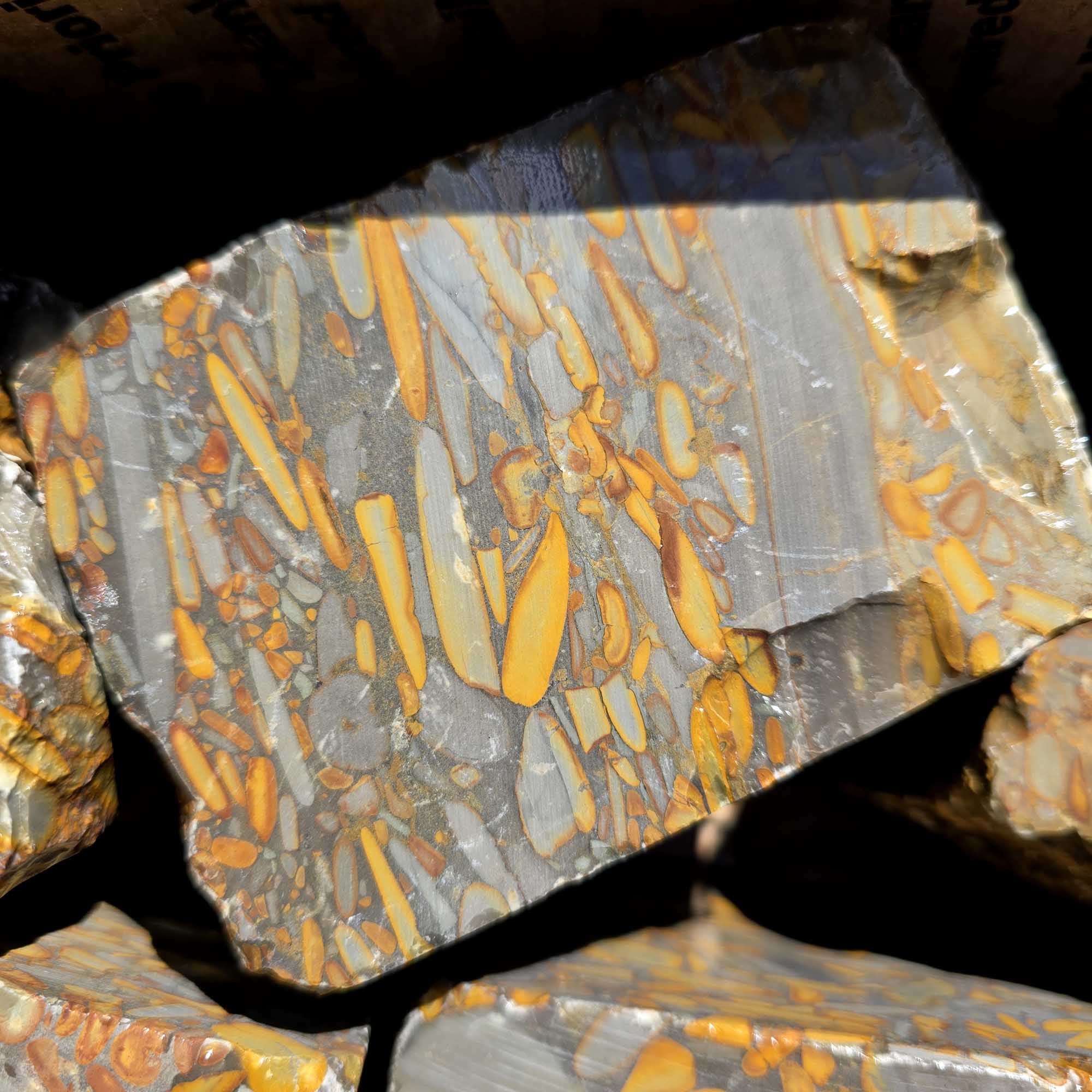 Bamboo Jasper Flatrate Box Rough Stones Prime Indonesian Cutting Material