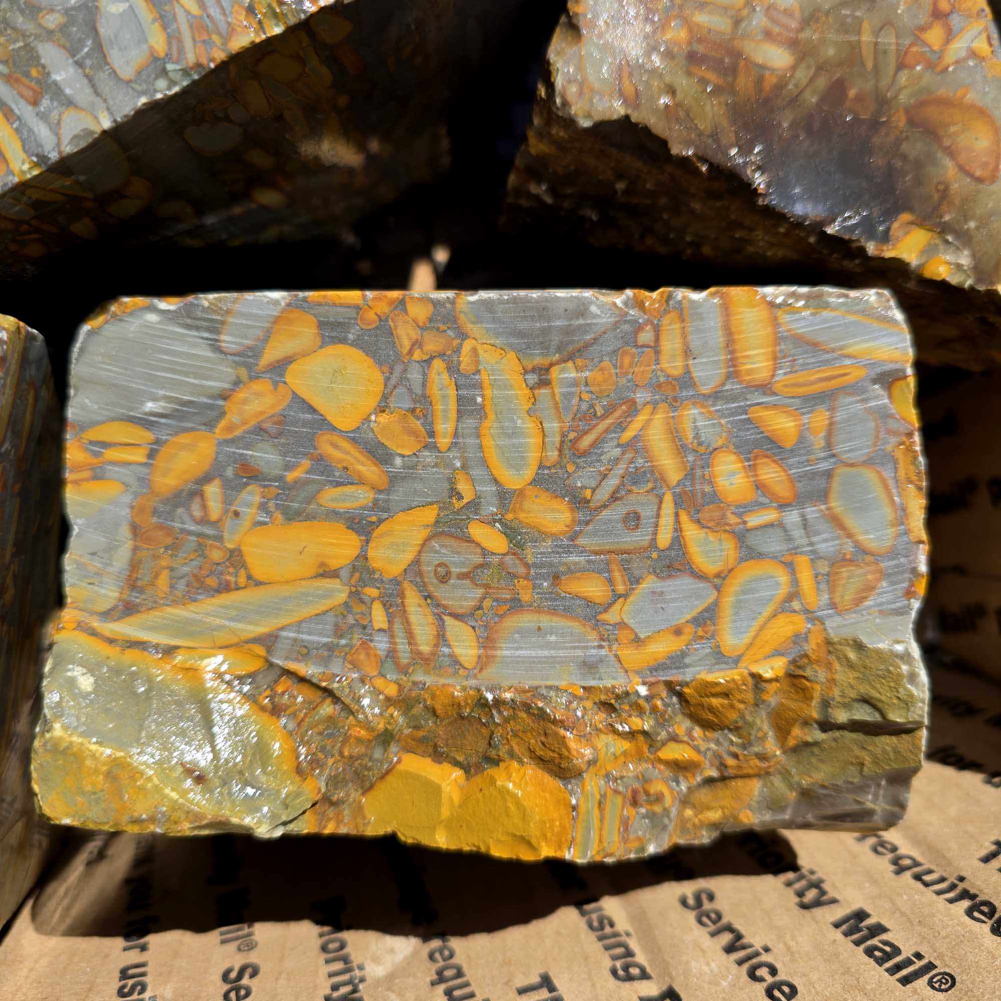 Bamboo Jasper Flatrate Box Rough Stones Prime Indonesian Cutting Material