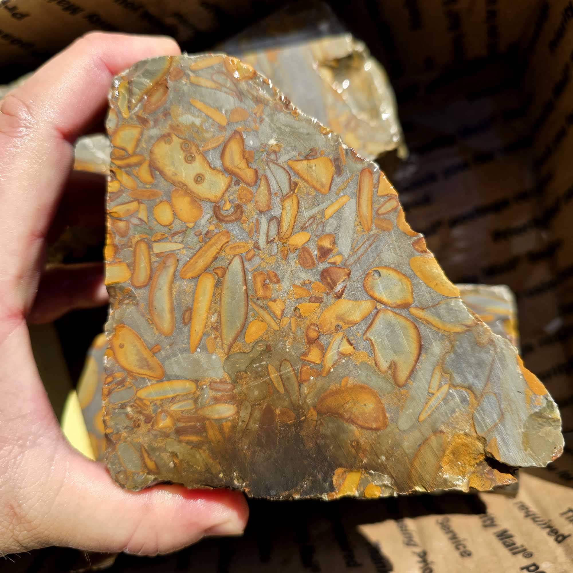 Bamboo Jasper Flatrate Box Rough Stones Prime Indonesian Cutting Material