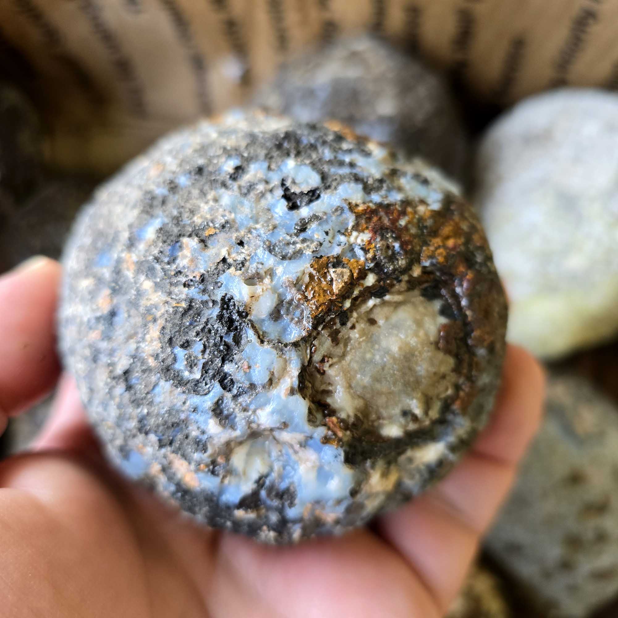 Solid Coconut Geode Flatrate Box Rough Stones Blue Agate and Quartz Interiors