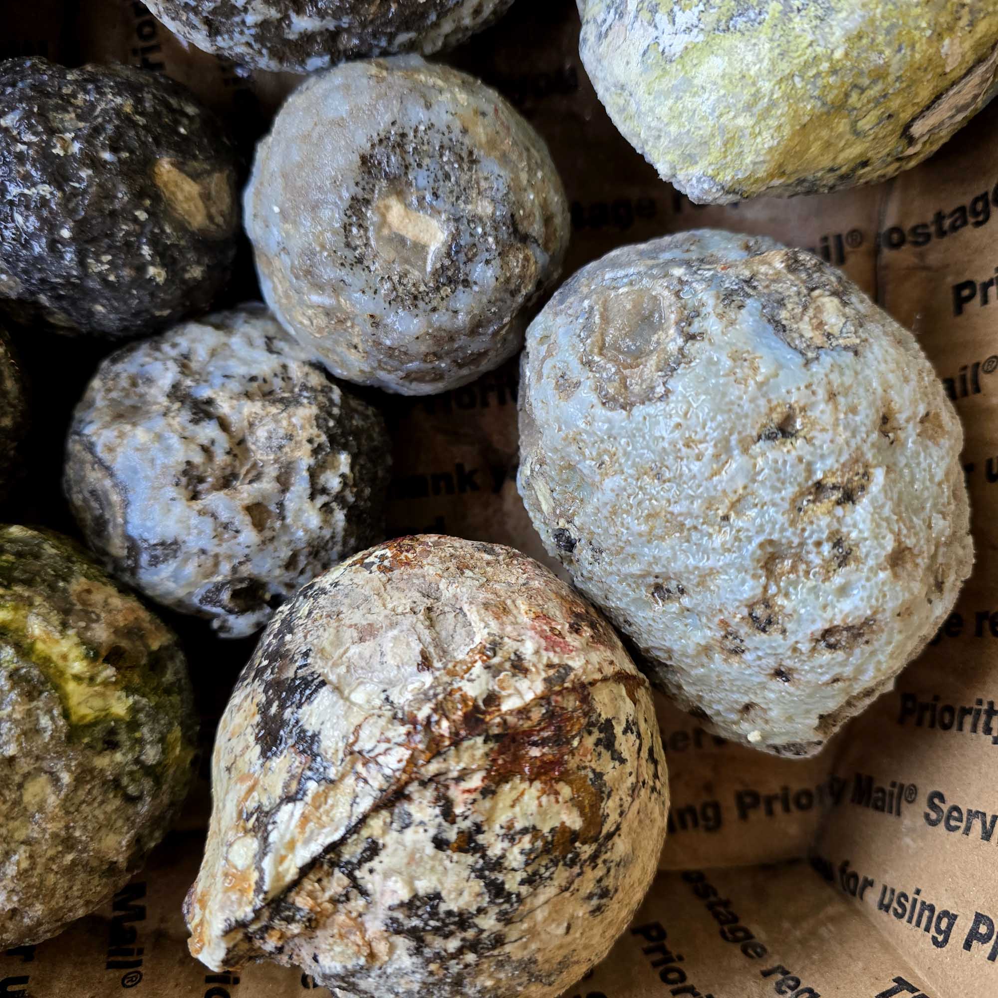 Solid Coconut Geode Flatrate Box Rough Stones Blue Agate and Quartz Interiors