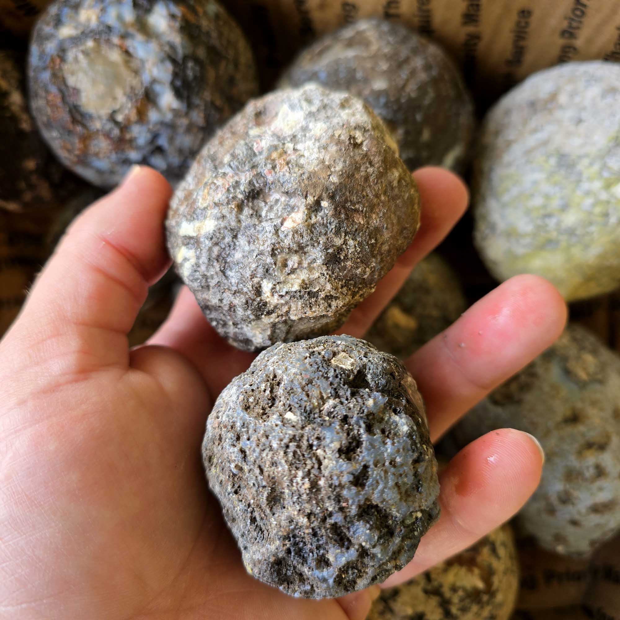 Solid Coconut Geode Flatrate Box Rough Stones Blue Agate and Quartz Interiors