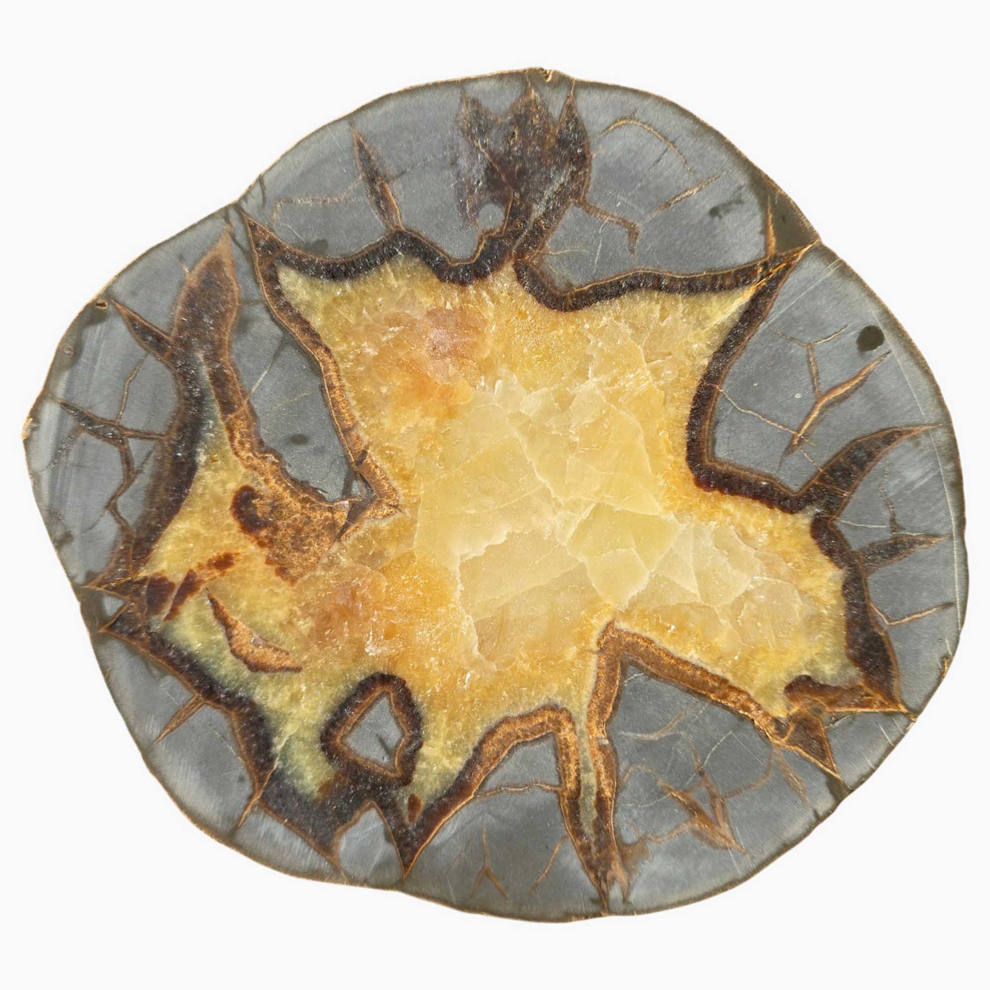 Septarian Nodule Slab – Bold Calcite Pattern with Natural Design