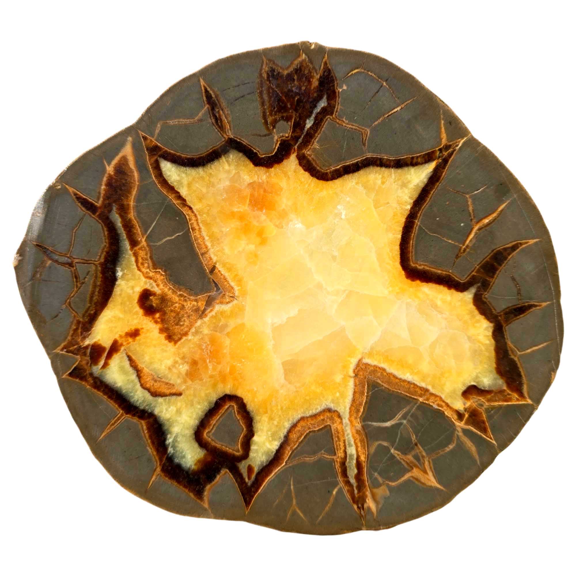 Septarian Nodule Slab – Bold Calcite Pattern with Natural Design
