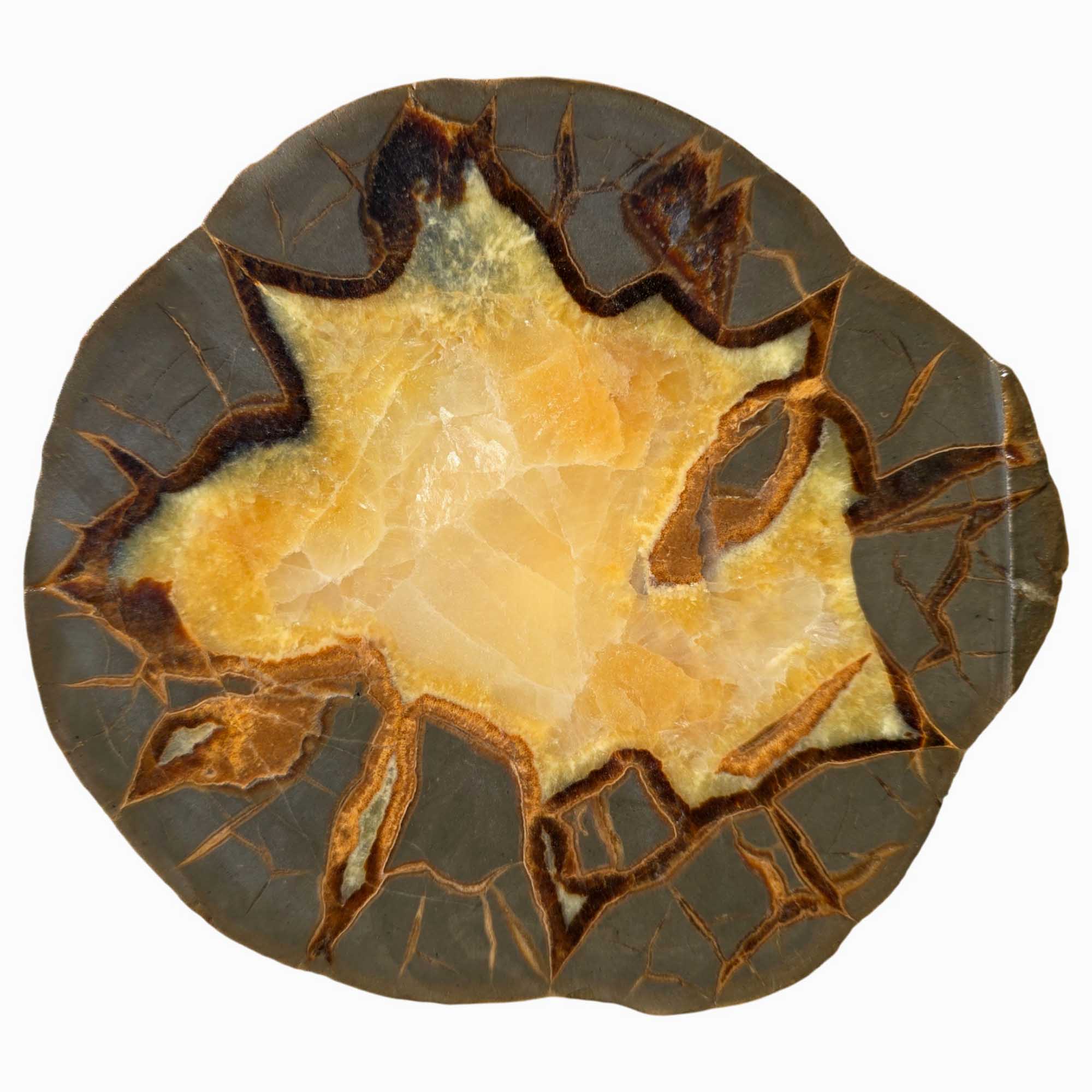 Septarian Nodule Slab – Bold Calcite Pattern with Natural Design