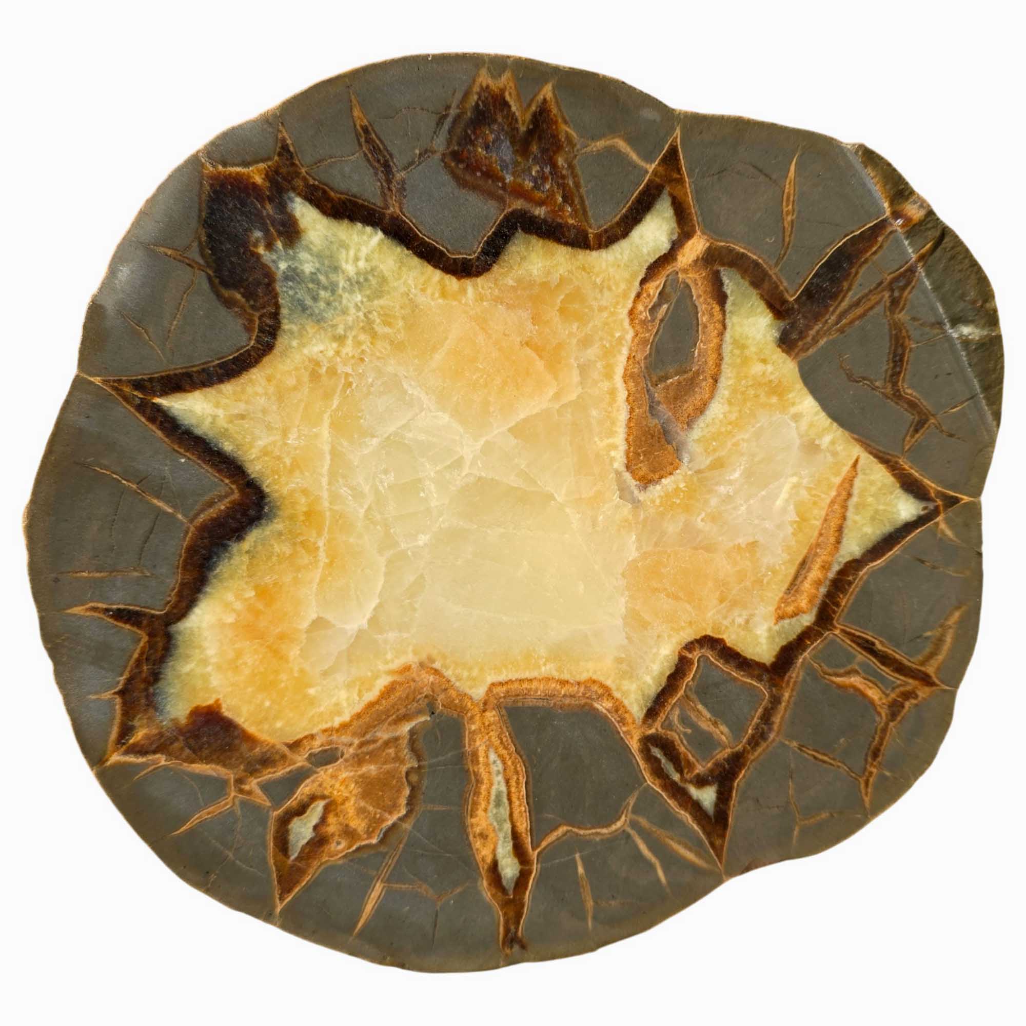 Septarian Nodule Slab – Bold Calcite Pattern with Natural Design