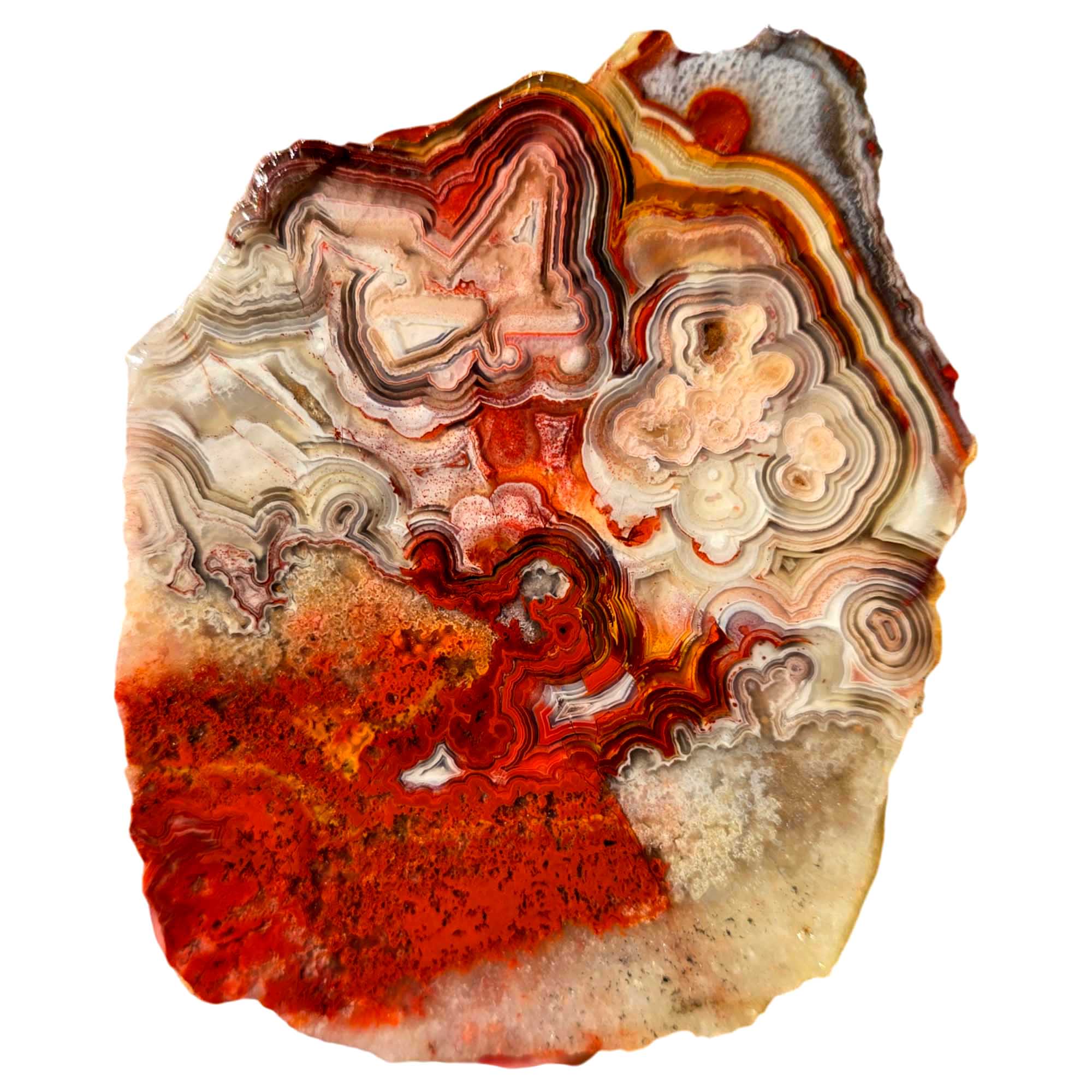 Crazy Lace Agate Slab Red Orbicular Banding and Laguna-Style Pattern