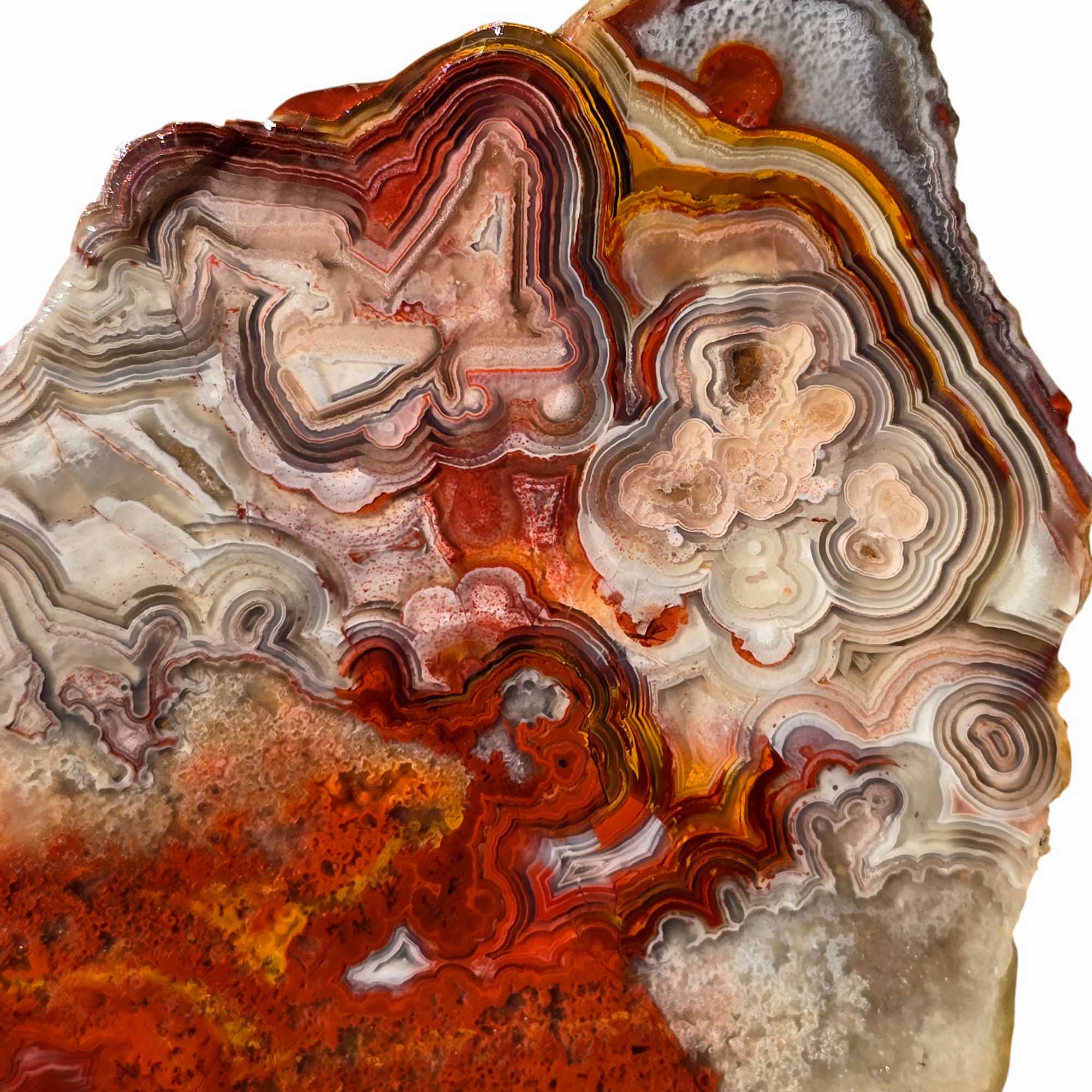 Crazy Lace Agate Slab Red Orbicular Banding and Laguna-Style Pattern