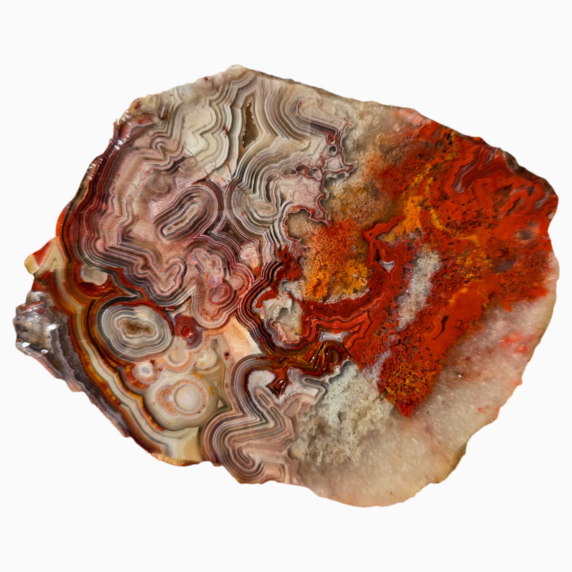 Crazy Lace Agate Slab Red Orbicular Banding and Laguna-Style Pattern