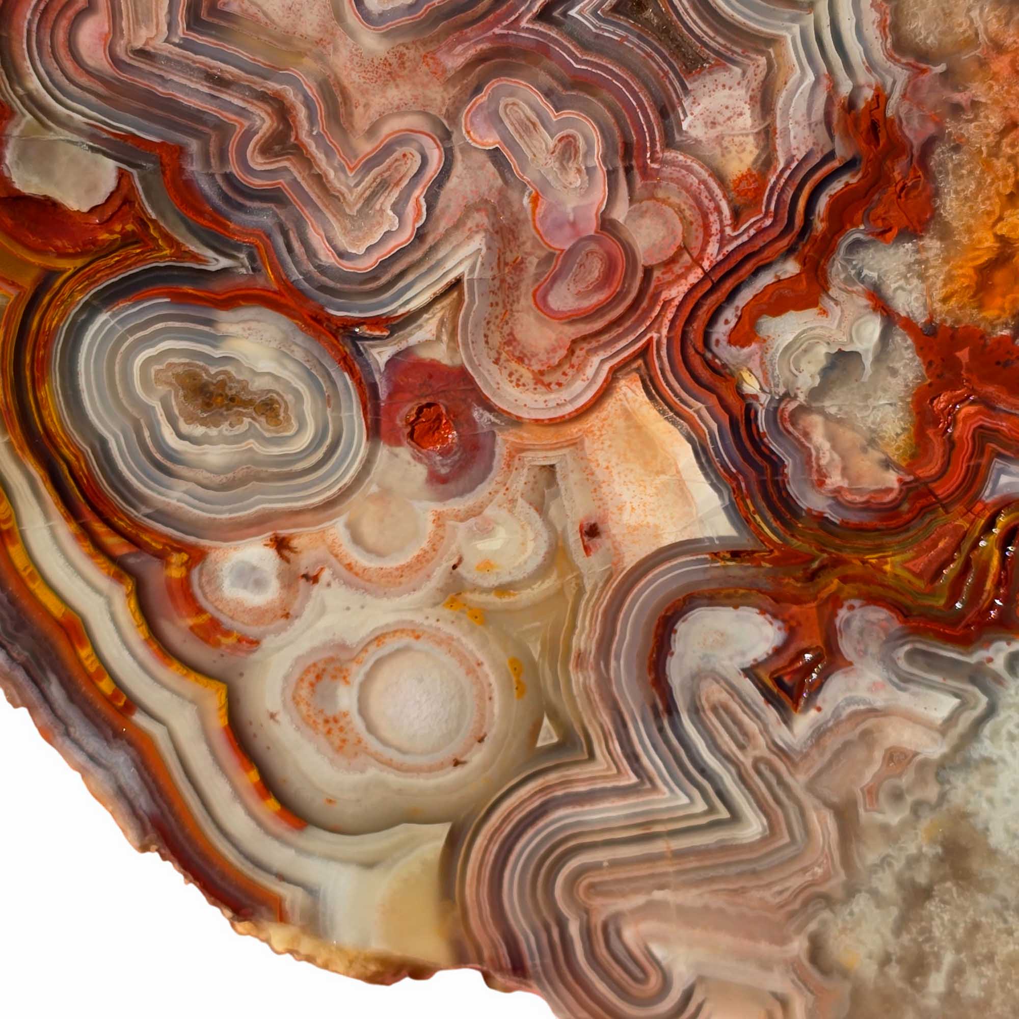 Crazy Lace Agate Slab Red Orbicular Banding and Laguna-Style Pattern