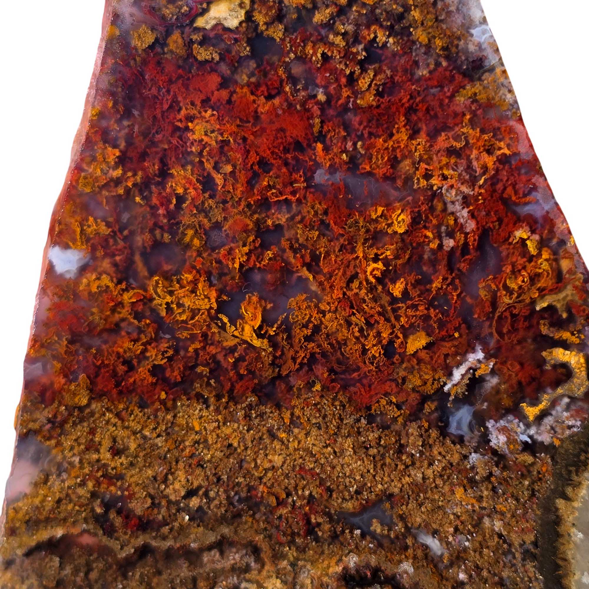San Carlos Agate Slab Vibrant Red Moss and High-Contrast Agate Pattern