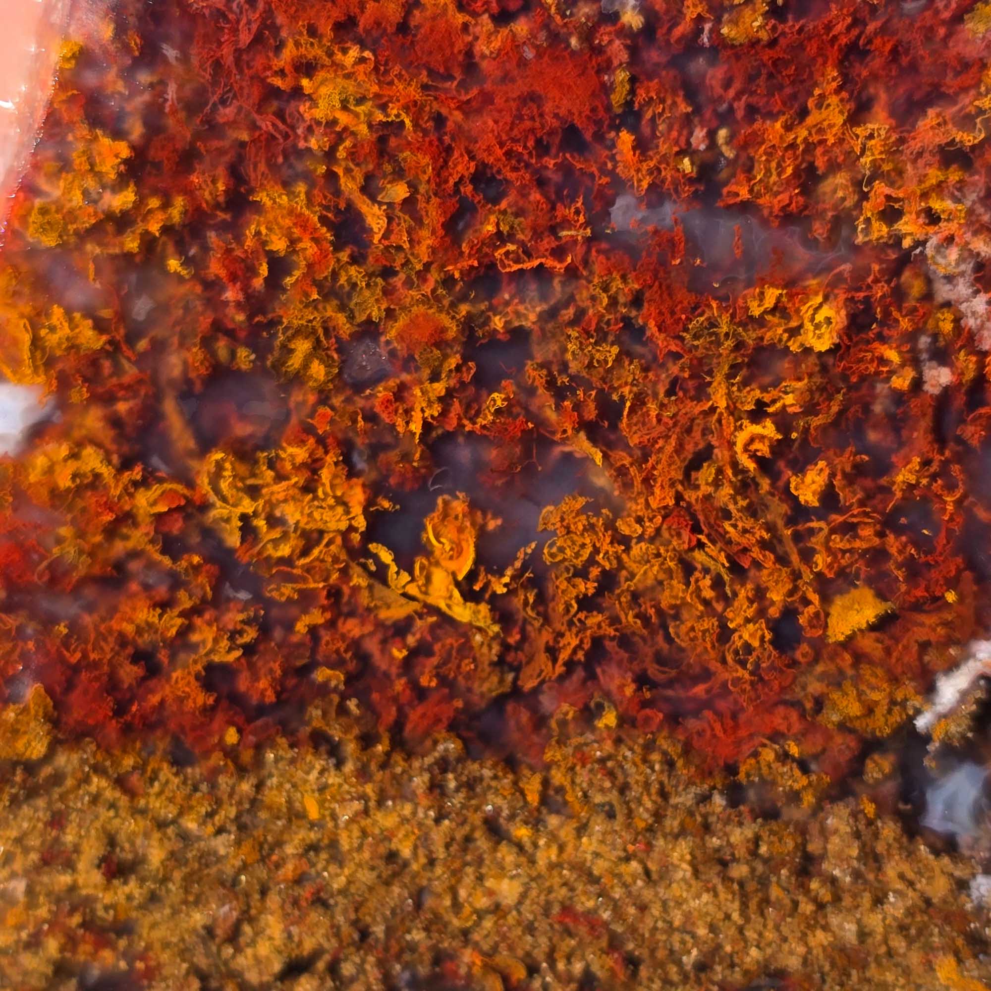 San Carlos Agate Slab Vibrant Red Moss and High-Contrast Agate Pattern
