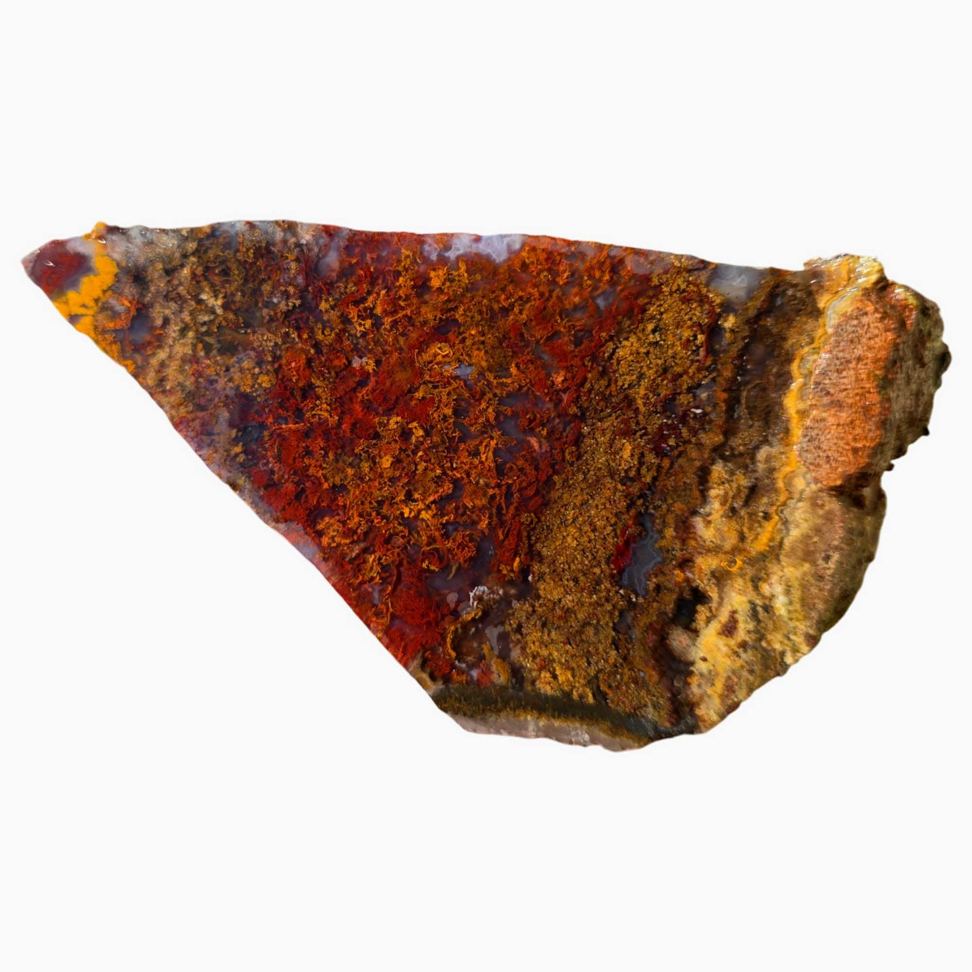 San Carlos Agate Slab Vibrant Red Moss and High-Contrast Agate Pattern