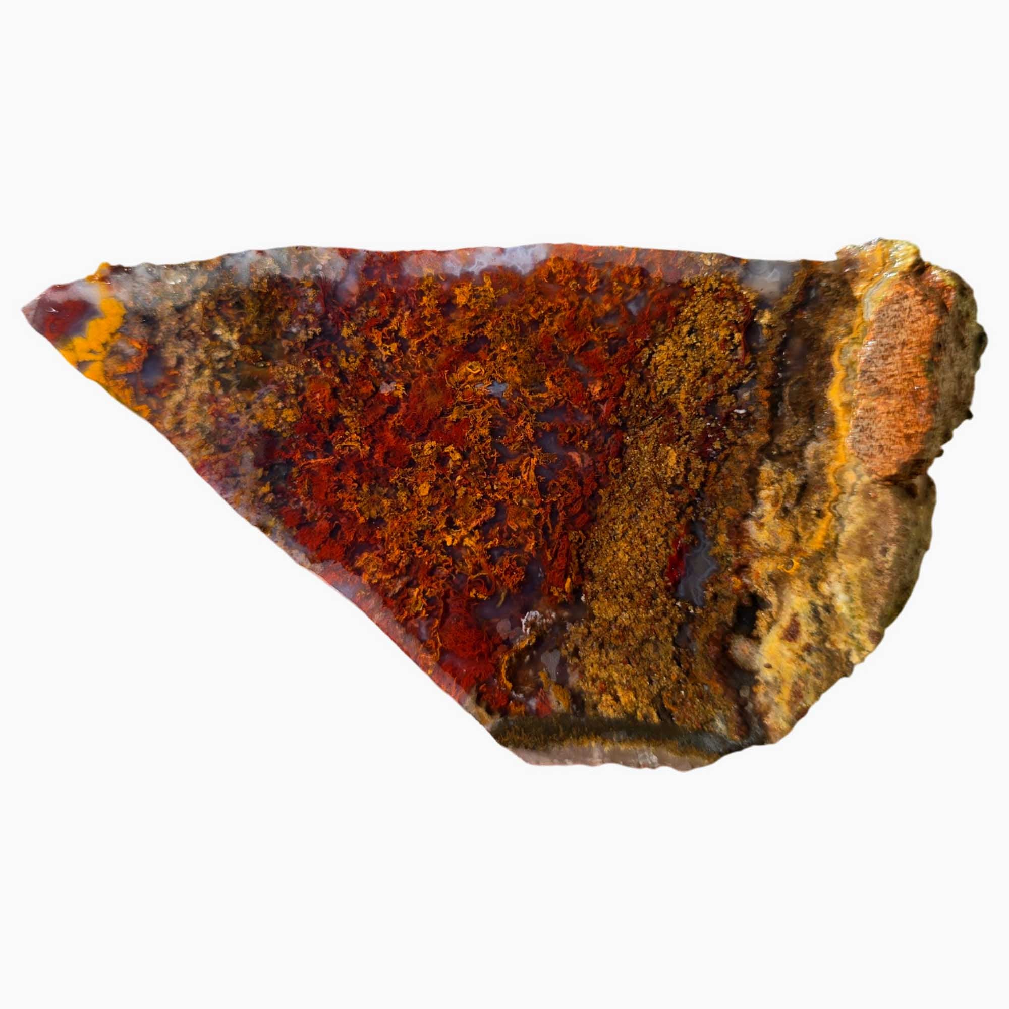 San Carlos Agate Slab Vibrant Red Moss and High-Contrast Agate Pattern