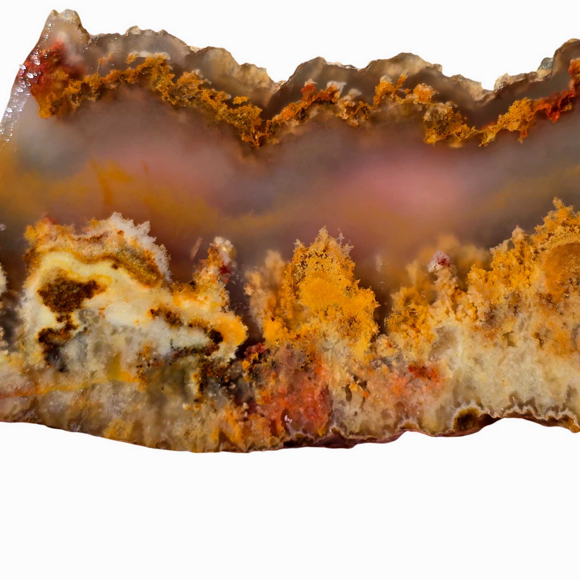 Regency Rose Plume Agate Slab Old Stock Graveyard Point Red Plume Agate