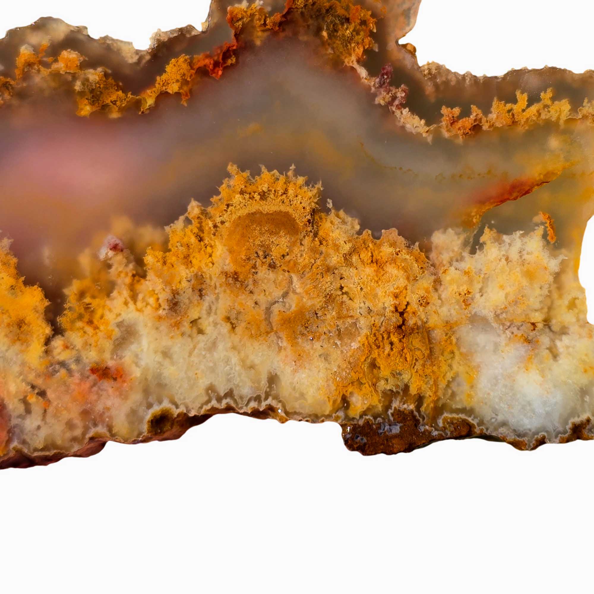 Regency Rose Plume Agate Slab Old Stock Graveyard Point Red Plume Agate