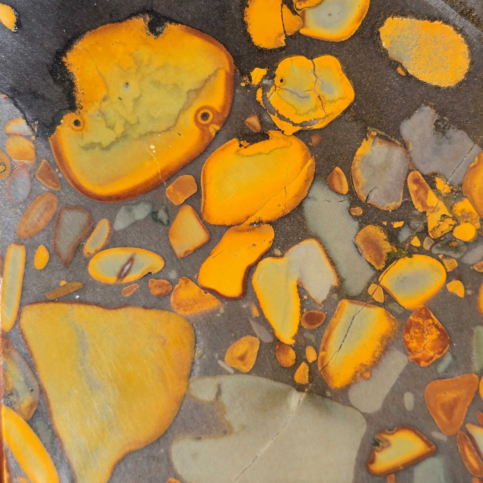 Bamboo Jasper Slab Indonesian Fossil Pattern with Organic Flow and Contrast
