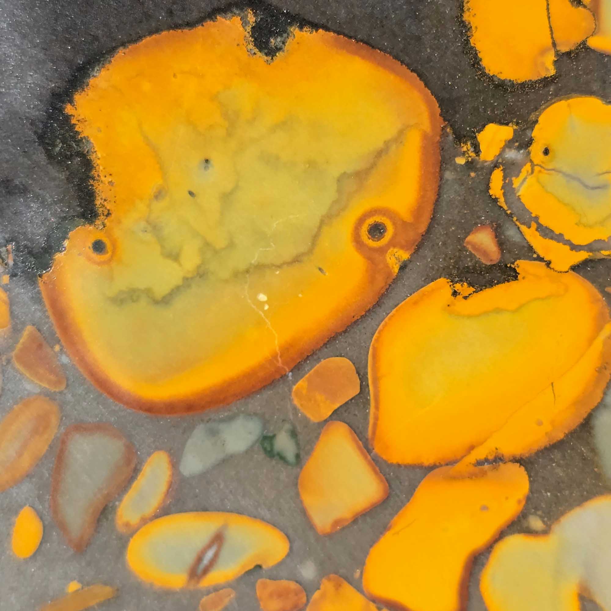 Bamboo Jasper Slab Indonesian Fossil Pattern with Organic Flow and Contrast