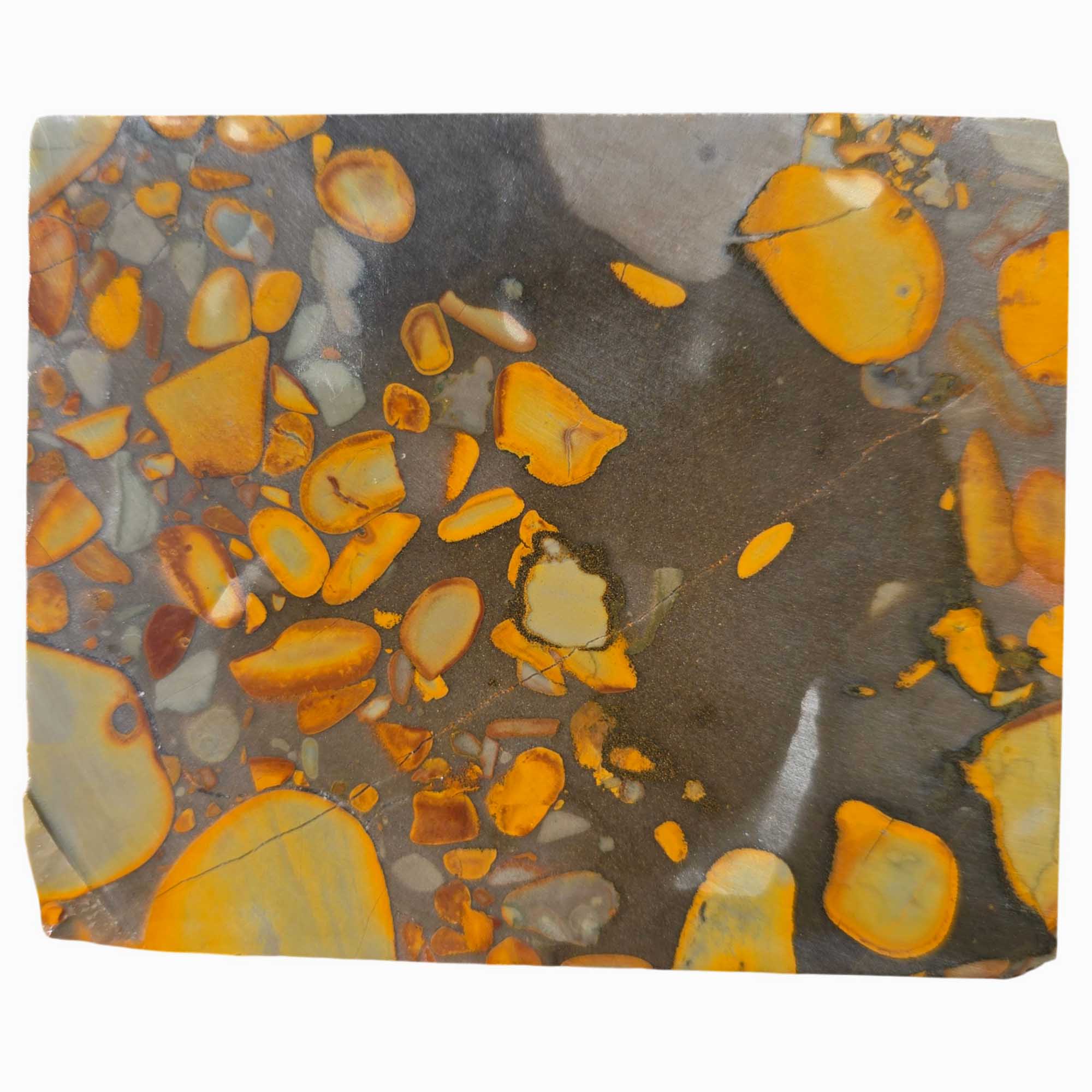 Bamboo Jasper Slab Indonesian Fossil Pattern with Organic Flow and Contrast