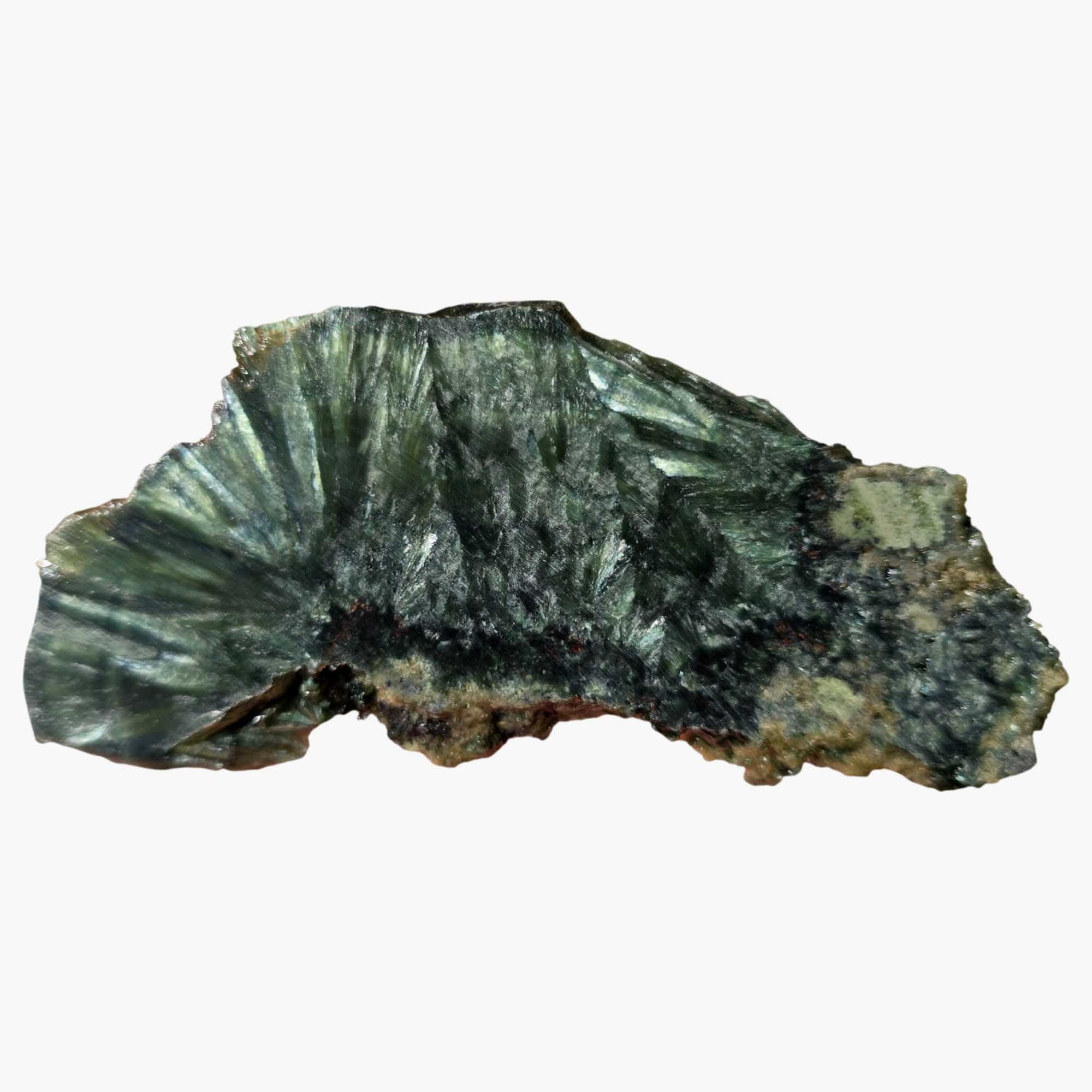 Seraphinite Slab – Feathery Green Chatoyant Chlorite from Siberia