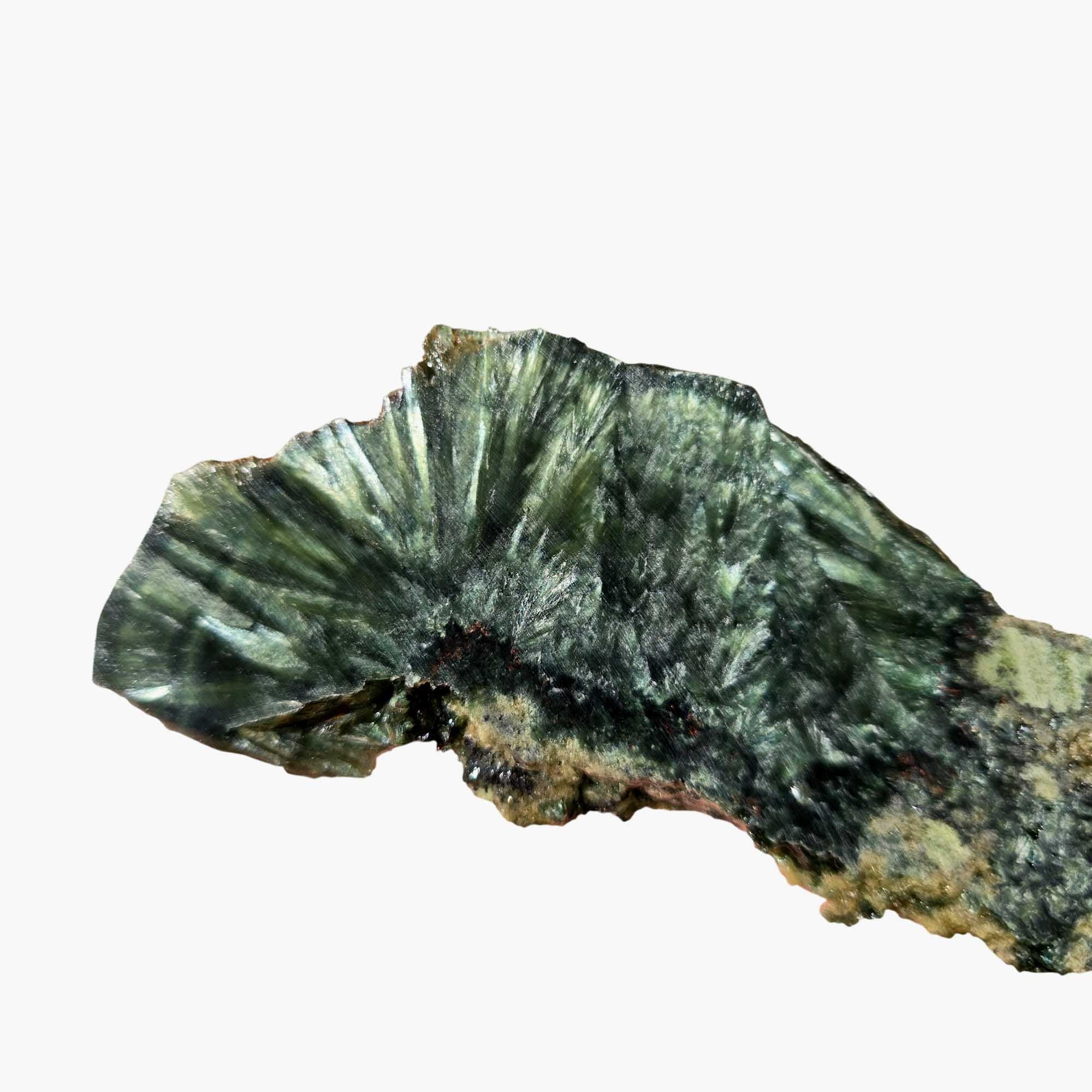 Seraphinite Slab – Feathery Green Chatoyant Chlorite from Siberia