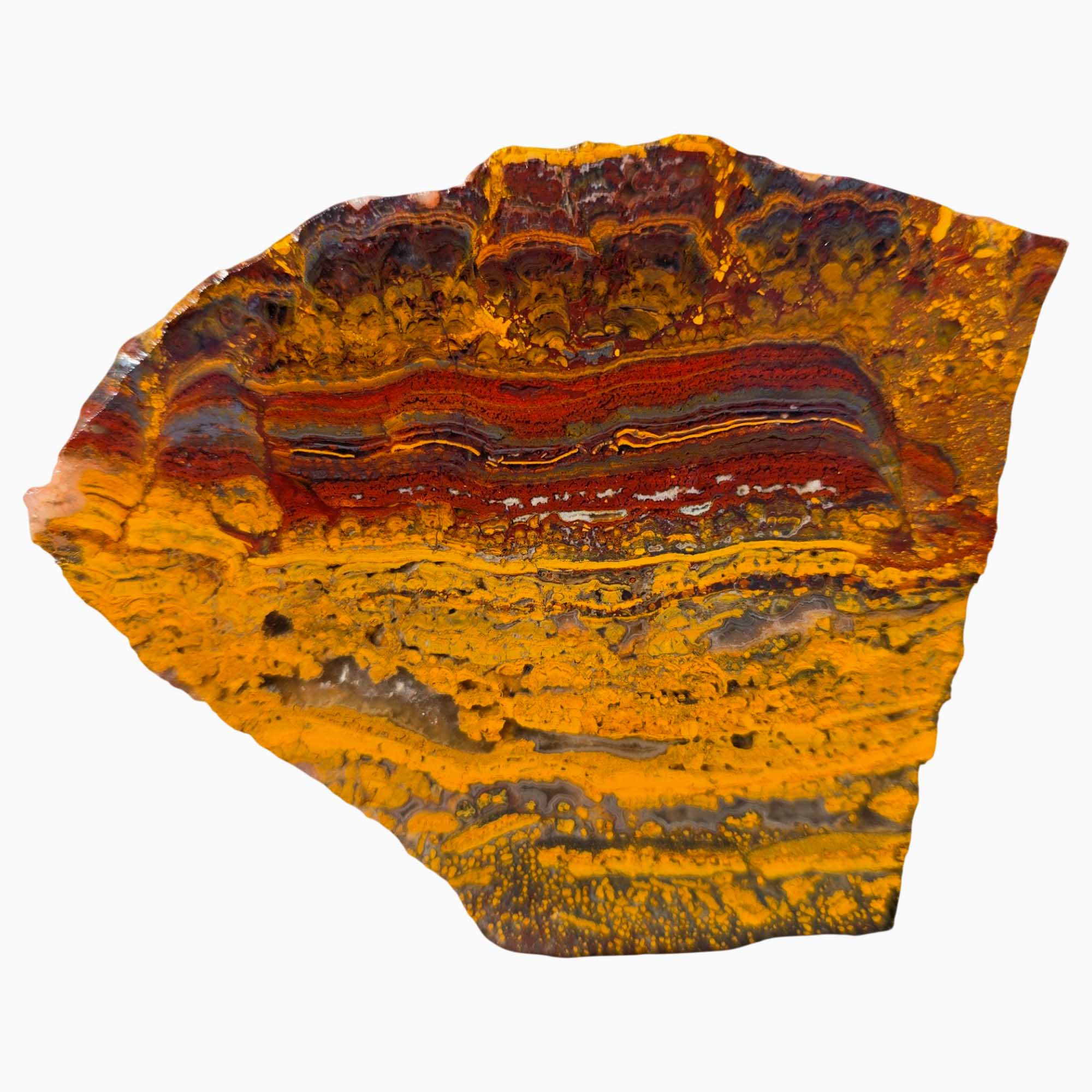 Apple Valley Jasper Slab – Wavy Red Oolitic Hematite Flowers – Sahara