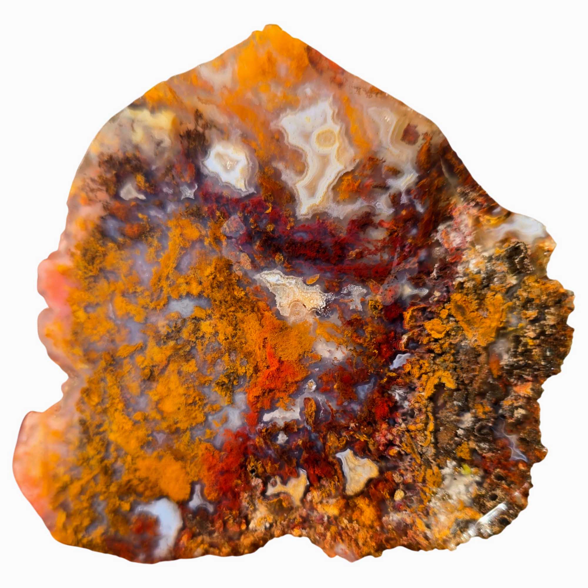 San Carlos Agate Slab – Bright Red Gold Orange Moss – Mexico High Contrast