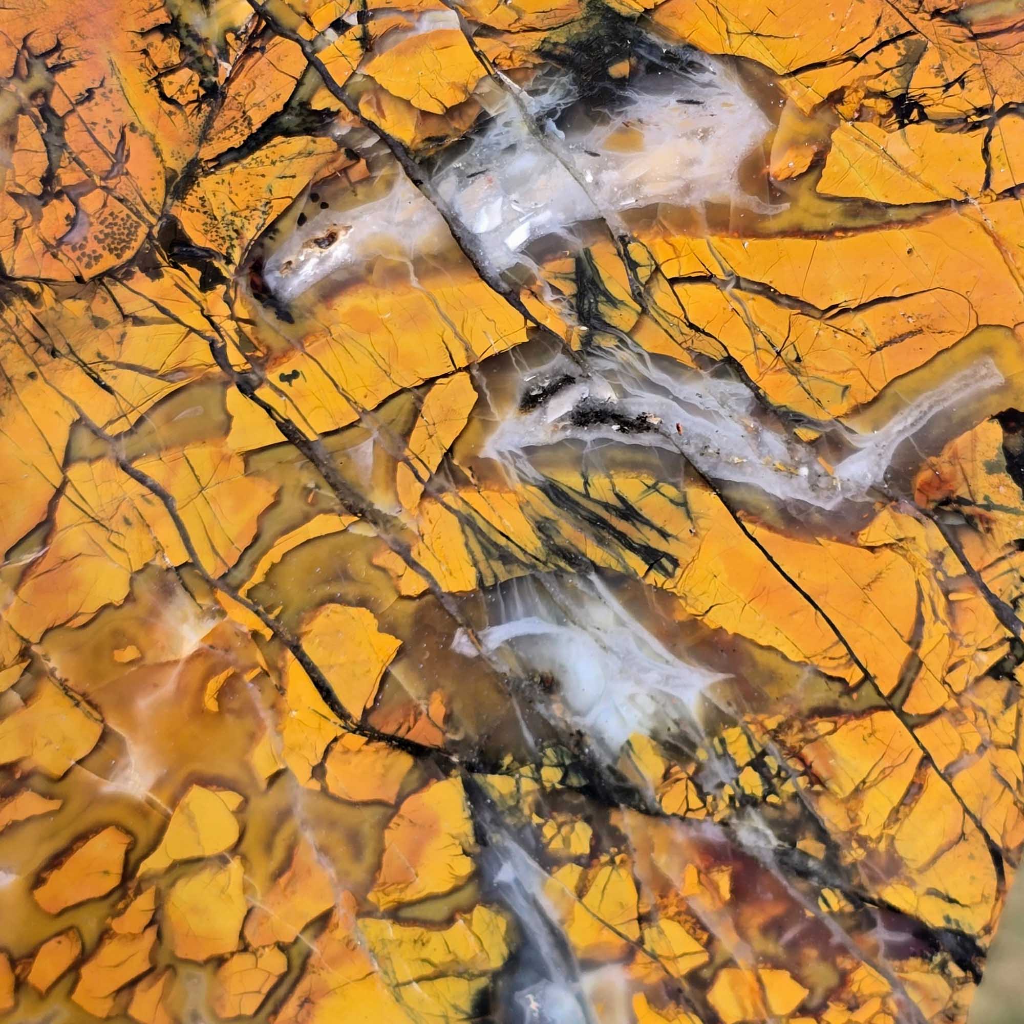 Stone Canyon Jasper Slab – Brecciated Pattern Colors – California 102mm