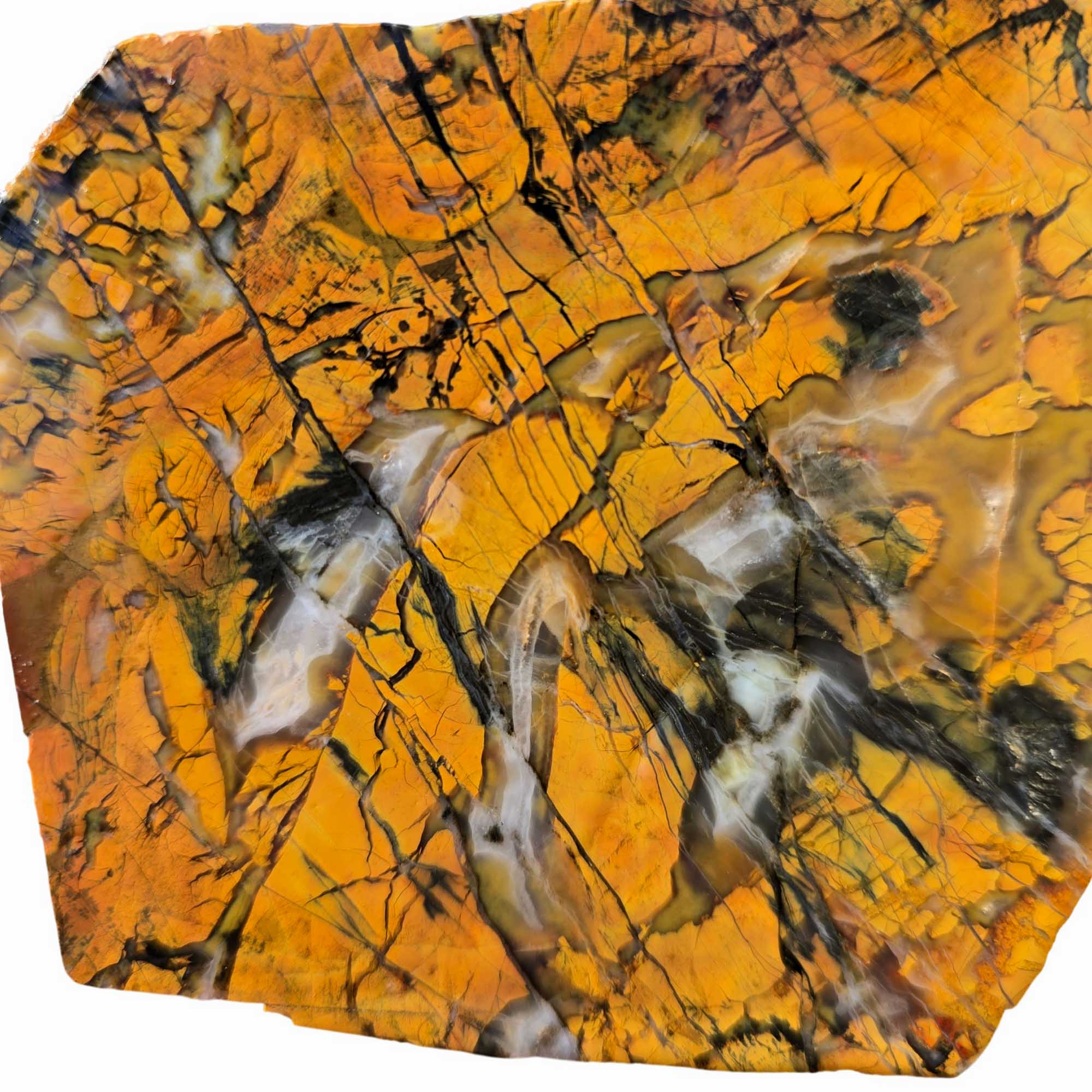 Stone Canyon Jasper Slab – Brecciated Pattern Colors – California 102mm