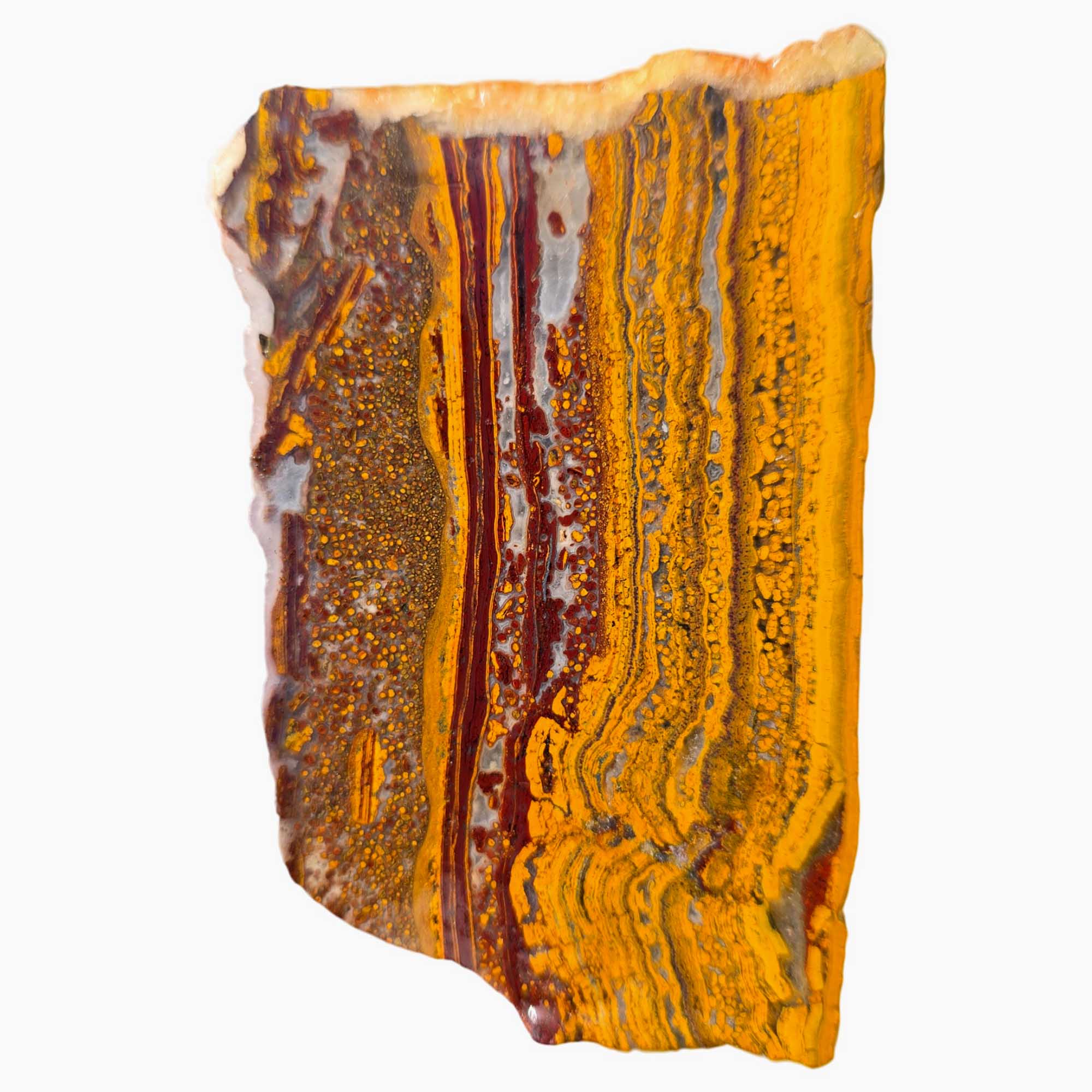 Apple Valley Jasper Slab – Gold Red Oolitic Pattern – Sahara Stromatolite