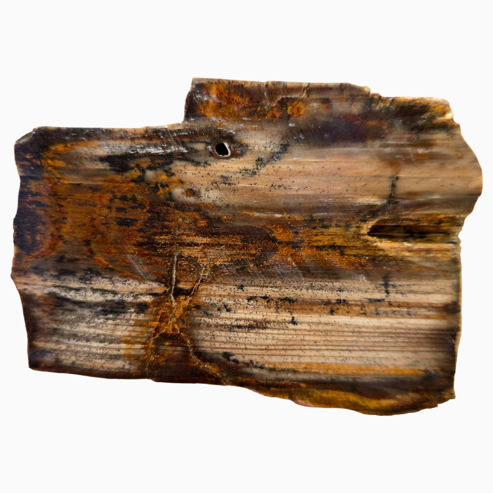 Mystery Stone Slab – Rustic Wood Grain Pattern Pacific Northwest Petrified #3649-Photo1