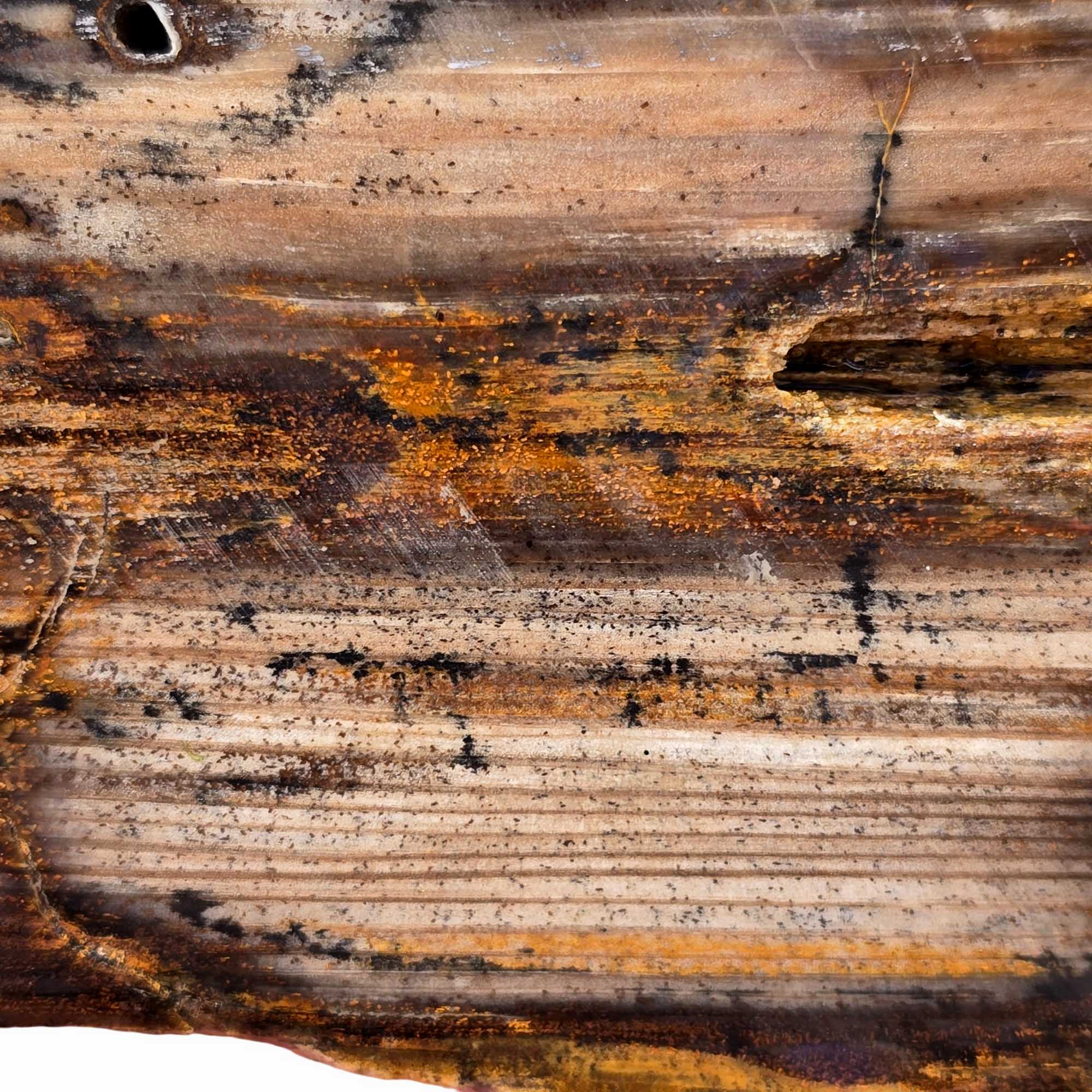 Mystery Stone Slab – Rustic Wood Grain Pattern Pacific Northwest Petrified #3649-Photo2