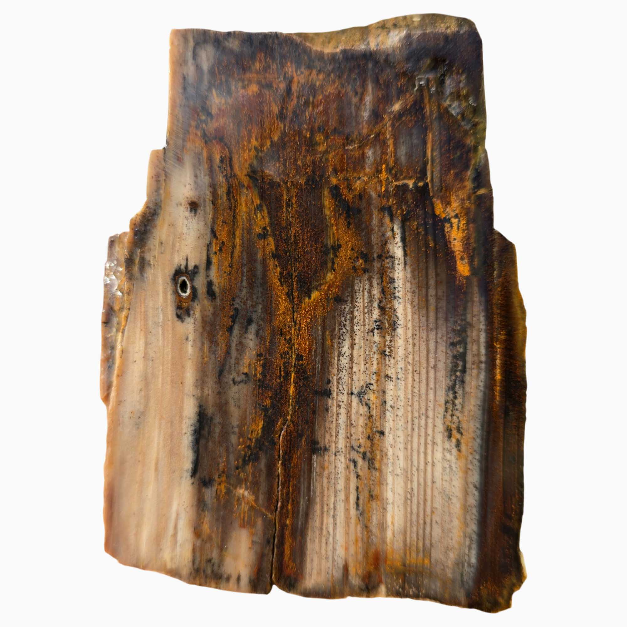 Mystery Stone Slab – Rustic Wood Grain Pattern Pacific Northwest Petrified #3649-Photo3