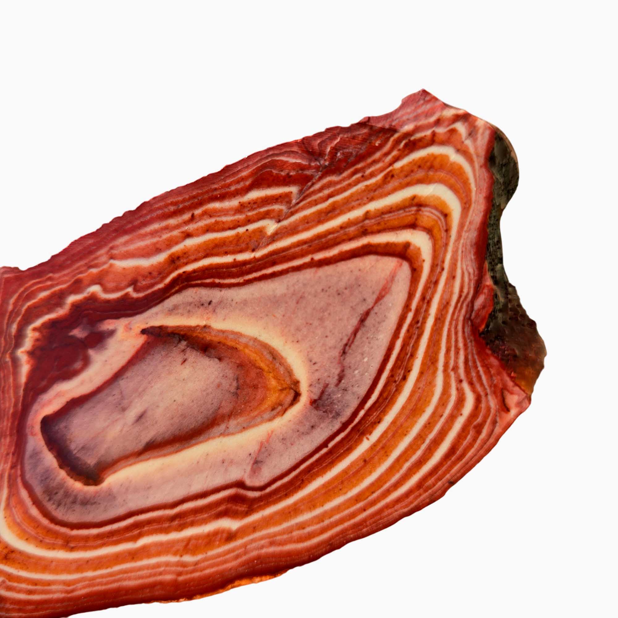 Wonderstone Slab – Bright Red Bullseye Pattern – Classic Wavy Formation