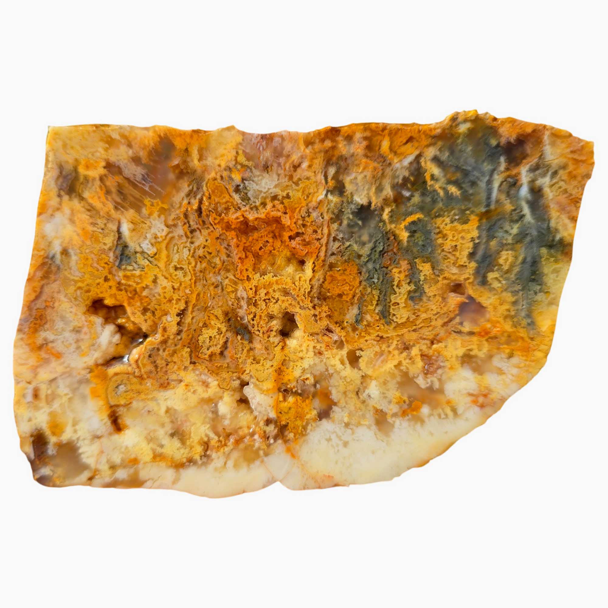 Regency Rose Plume Agate Slab – Plasma Colorations – Graveyard Oregon